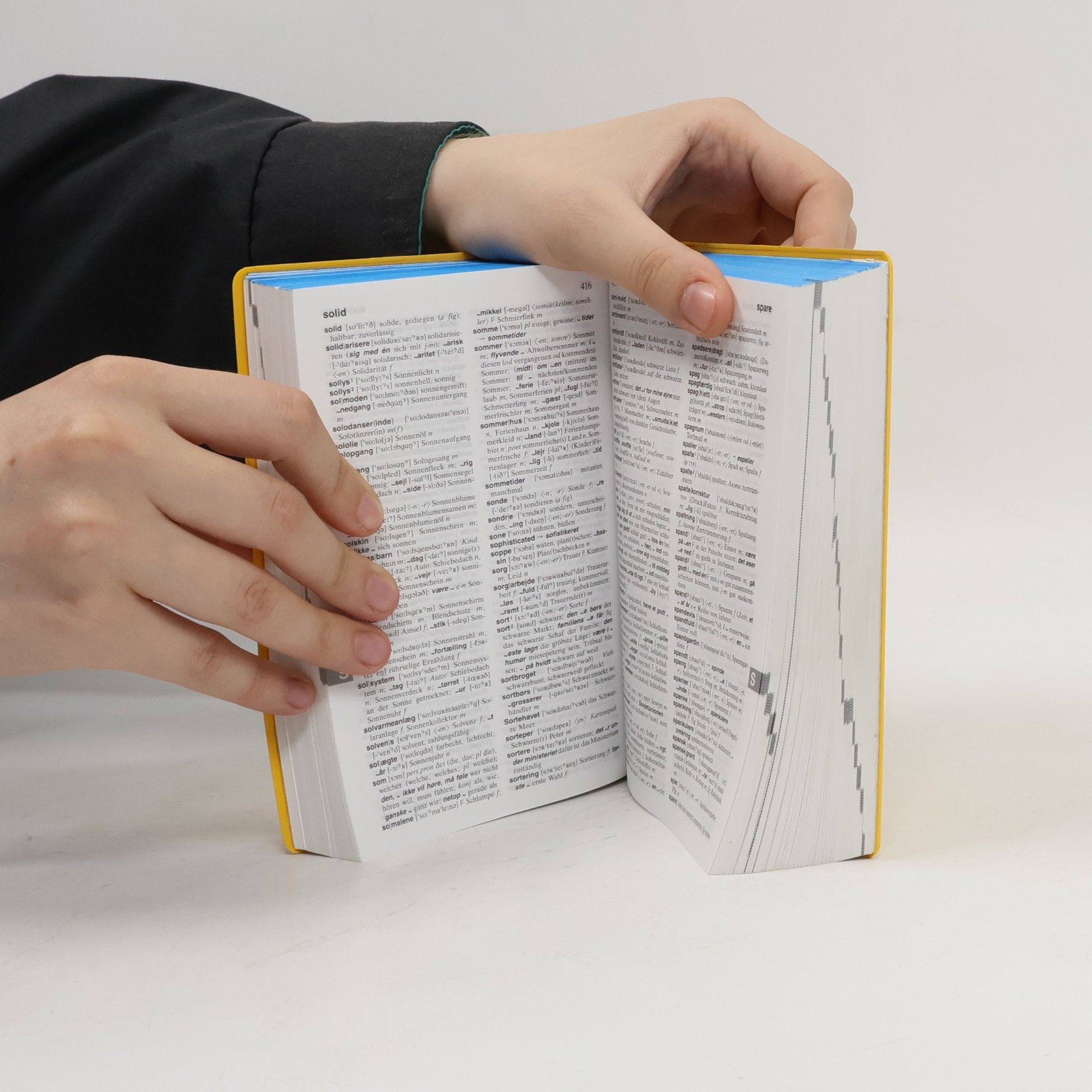 Jutta Andresen Langenscheidt, Taschenwörterbuch Dänisch