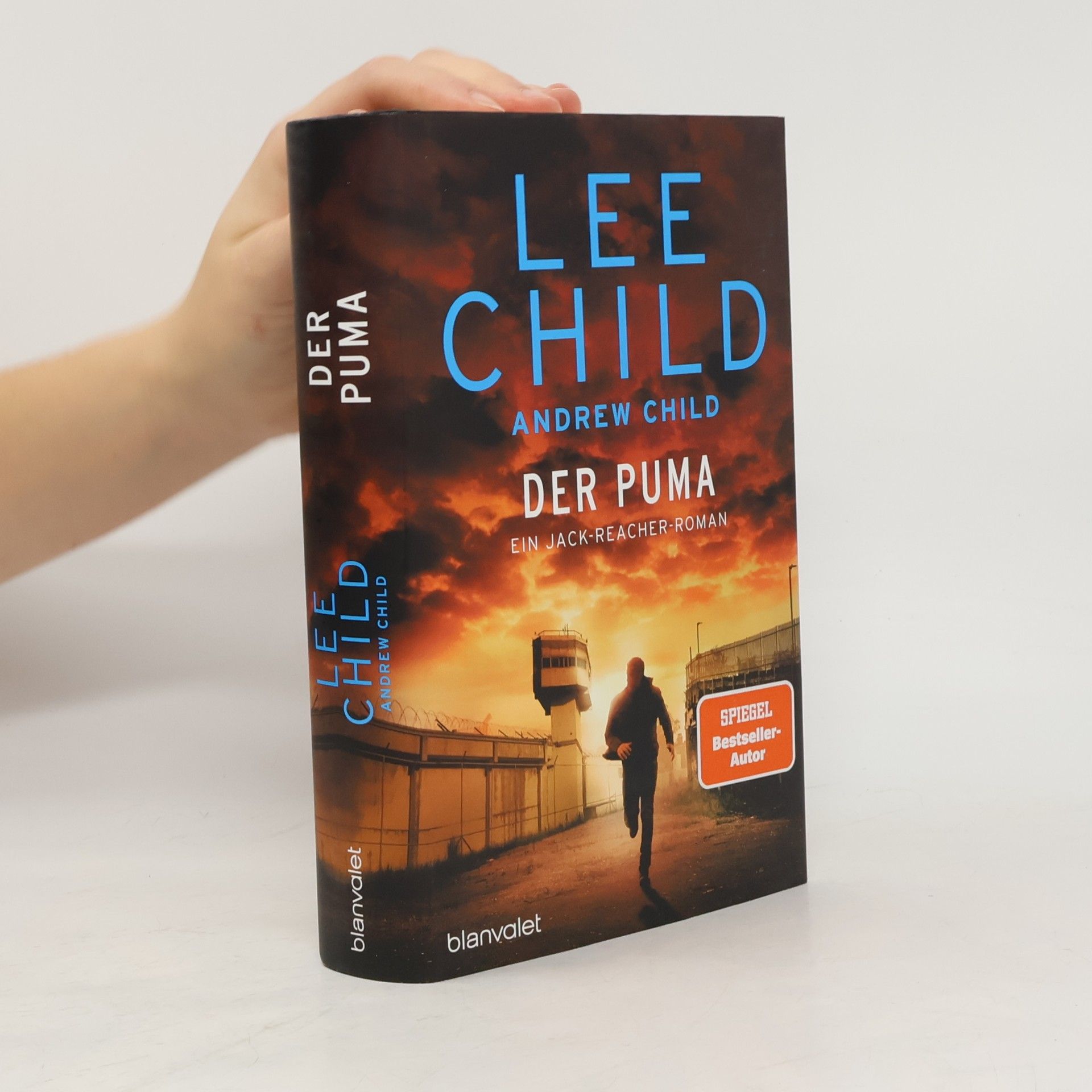 Jack Reacher: Der Puma