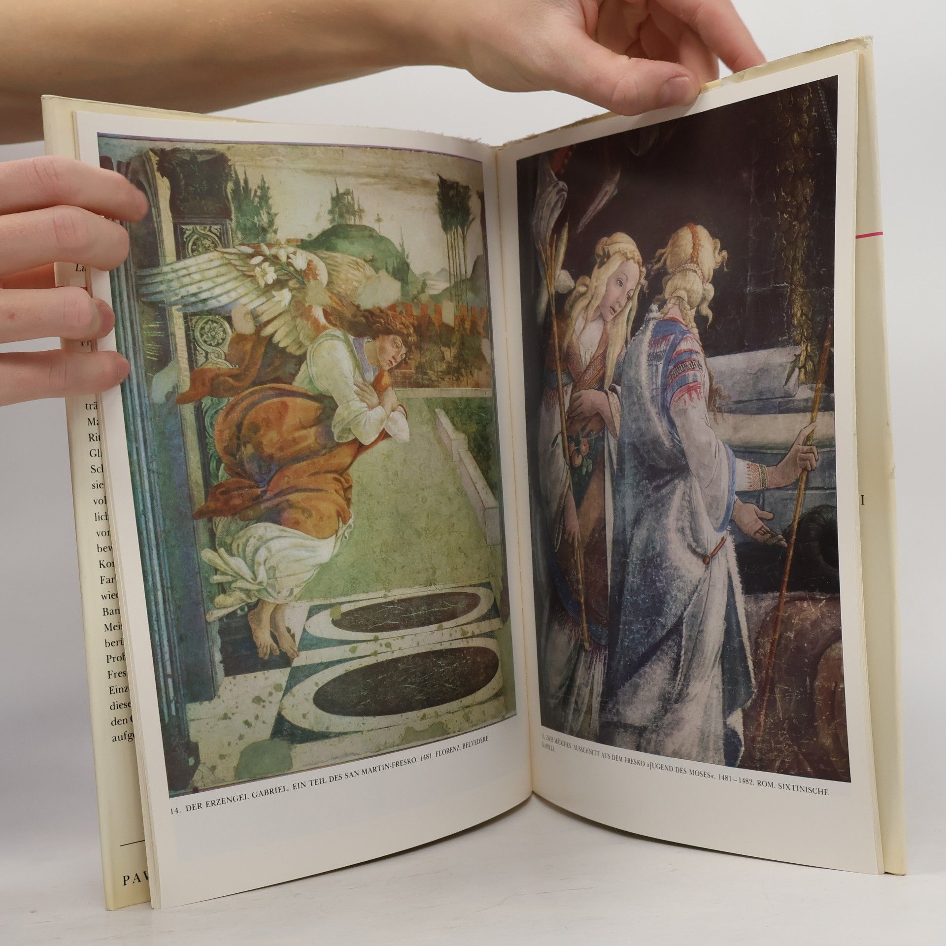Collectif d'auteurs Botticelli