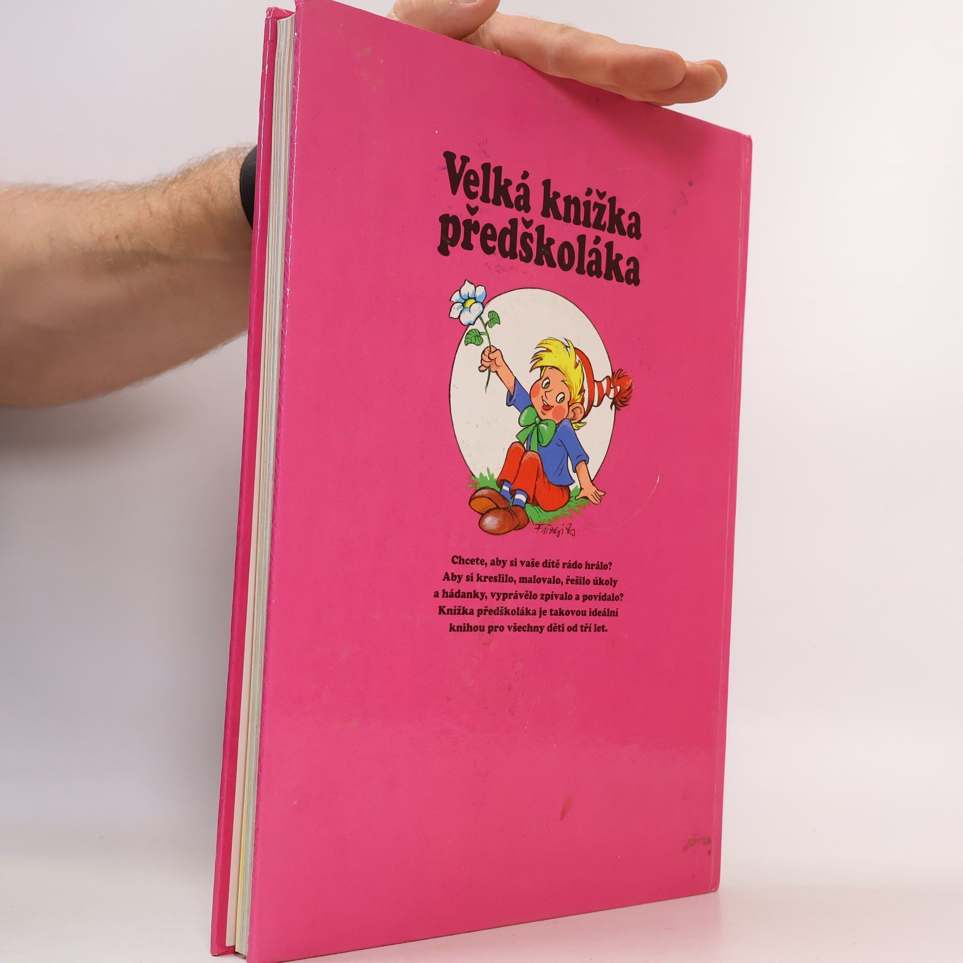 Anikó Csörgő Velká knížka předškoláka - Země divů