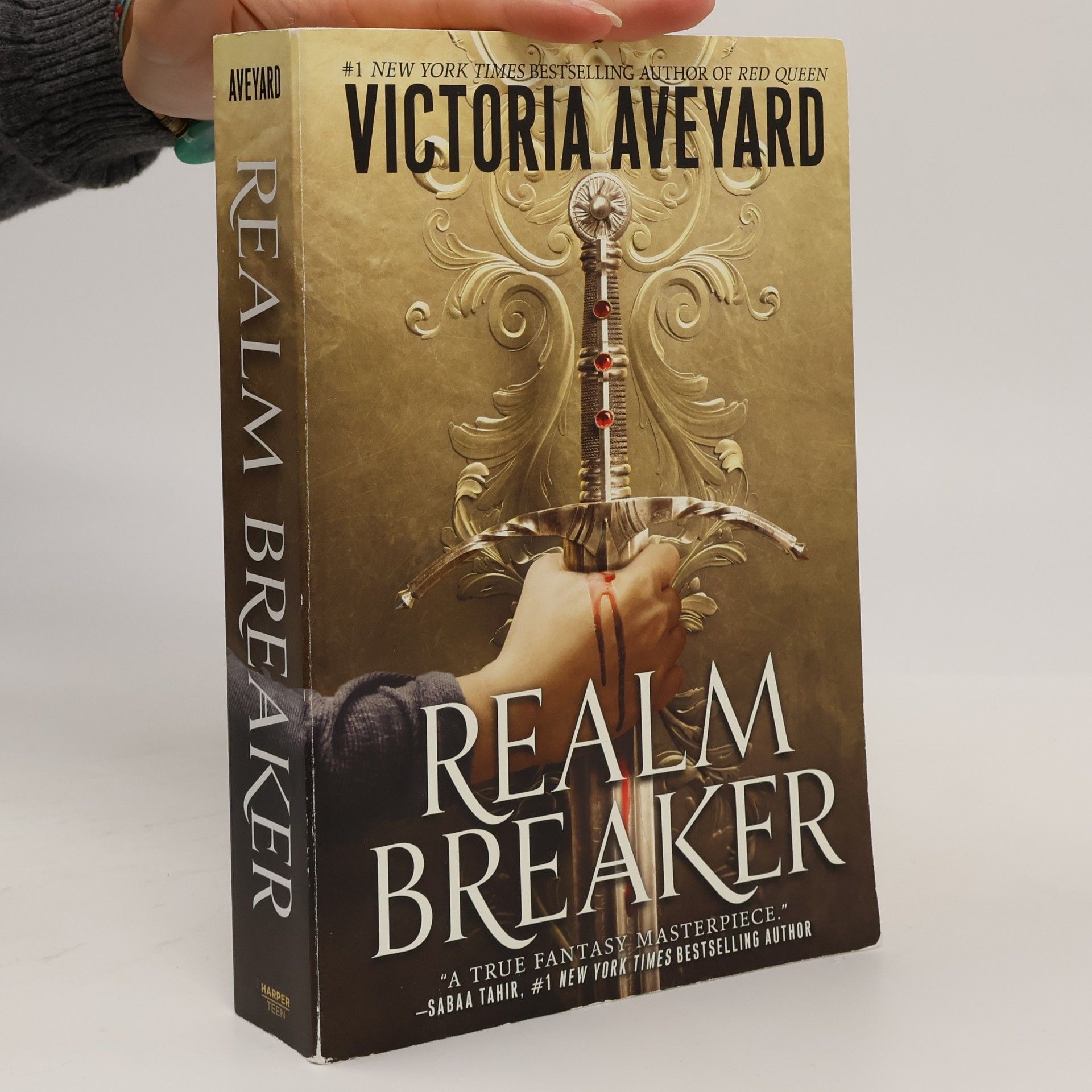 Realm Breaker
