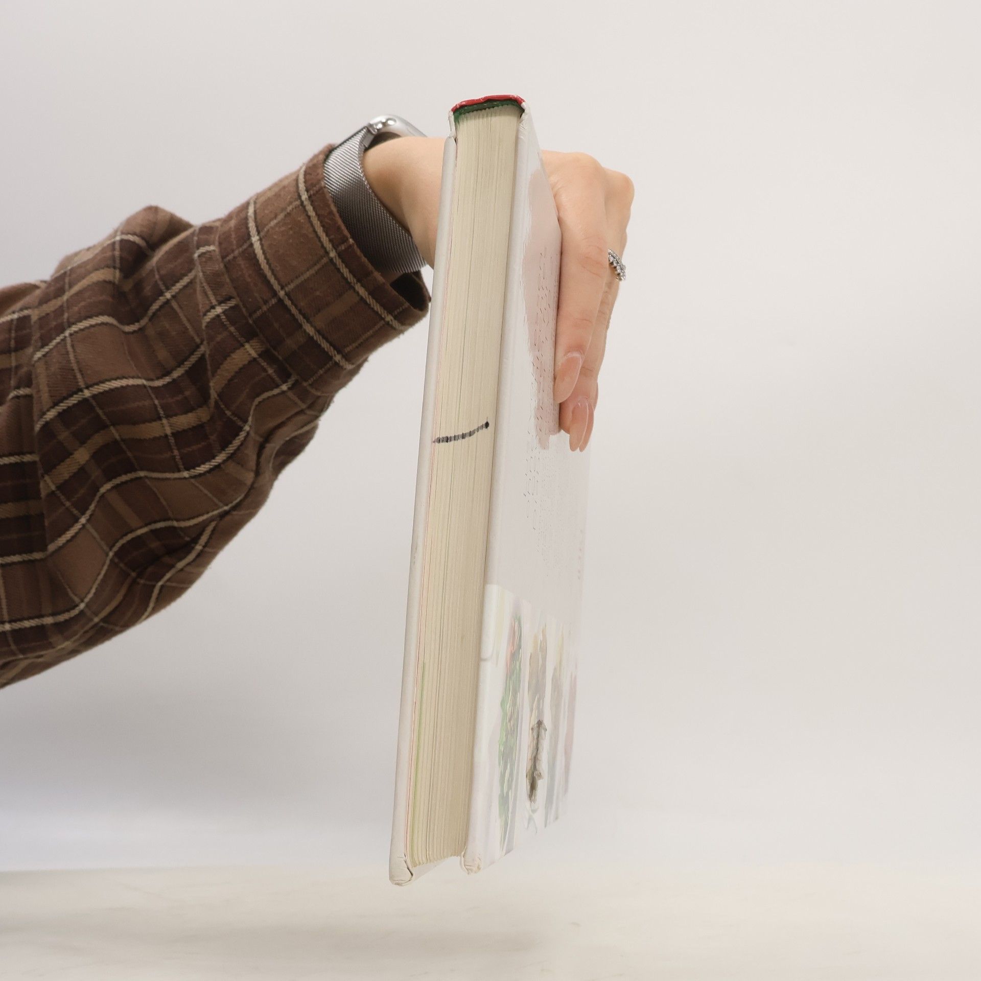 William Shaw Das Kochbuch für Diabetiker