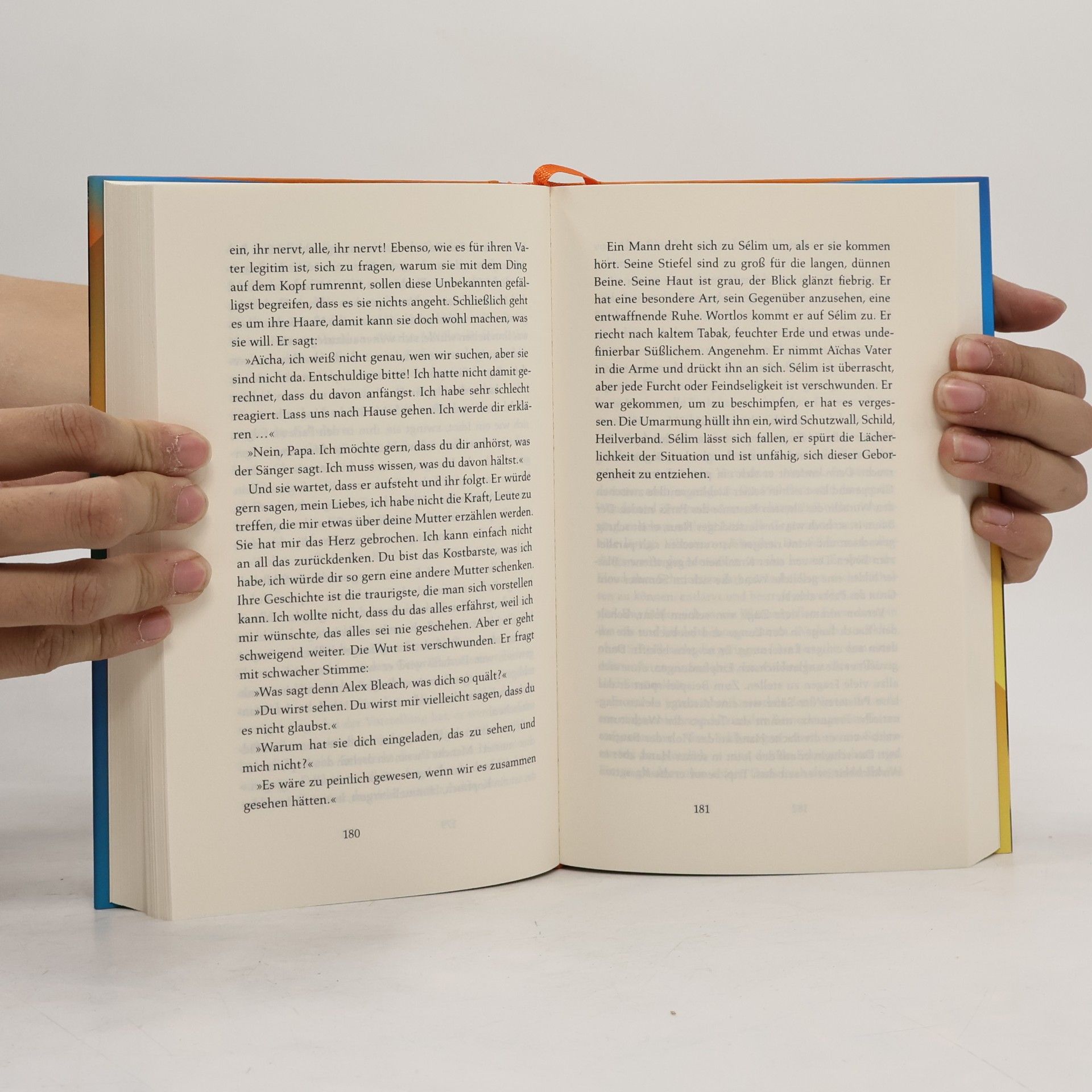 Virginie Despentes Das Leben des Vernon Subutex 2