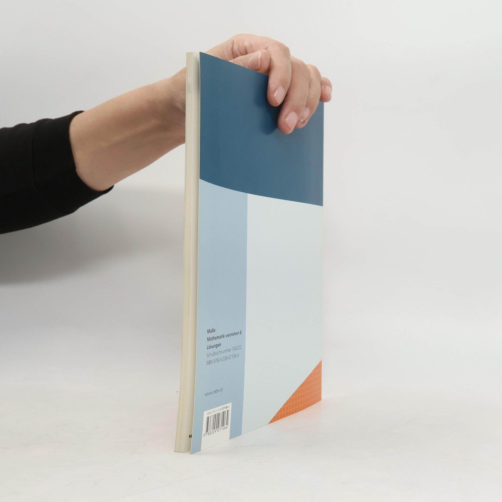 Autorenkollektiv Mathematik verstehen