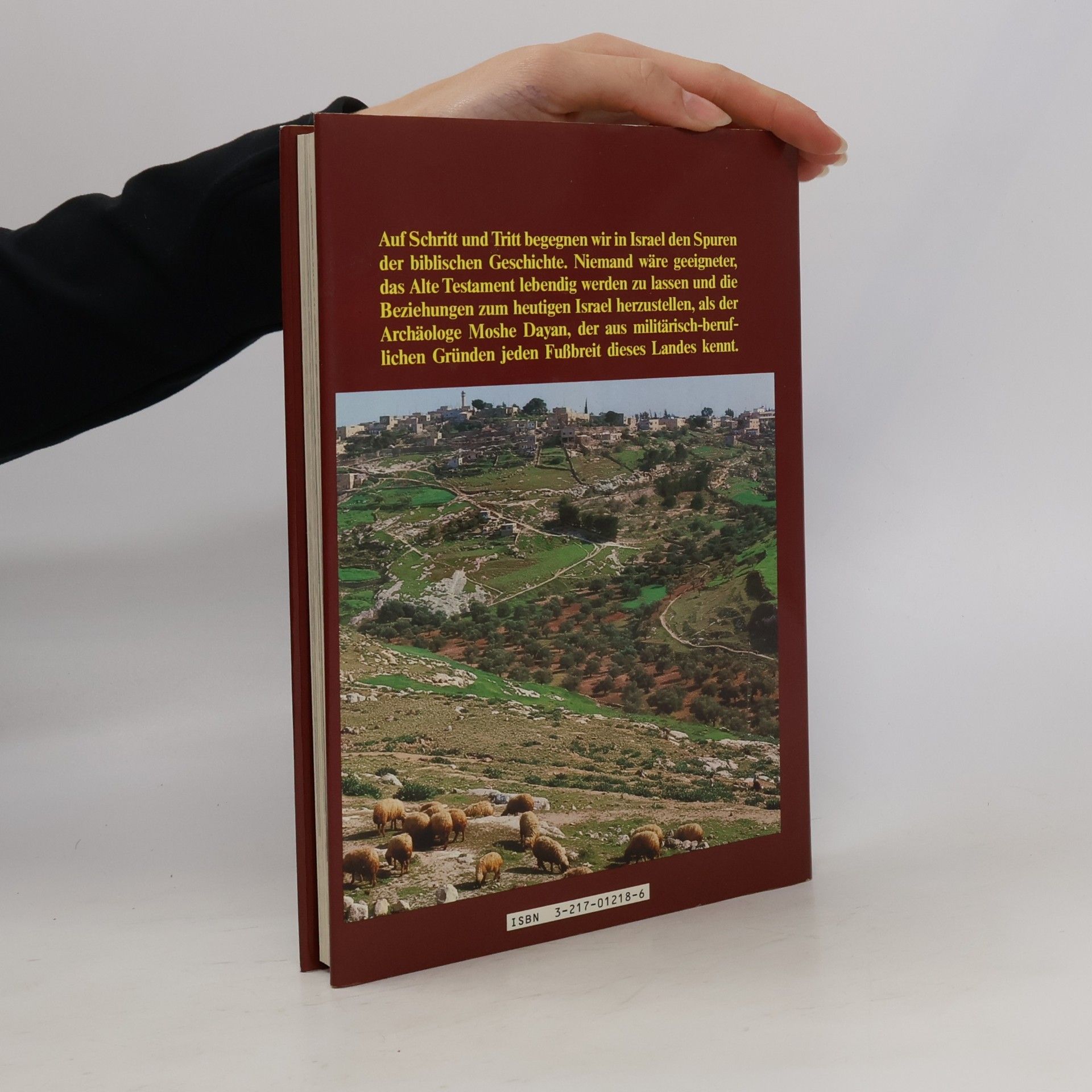 Moše Dayyān Leben mit der Bibel
