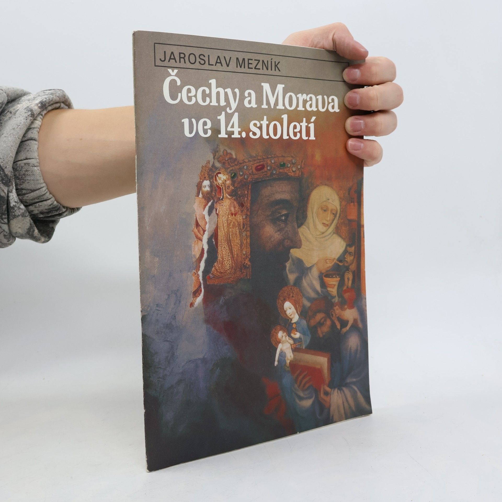 Jaroslav Mezník Čechy a Morava ve 14. století