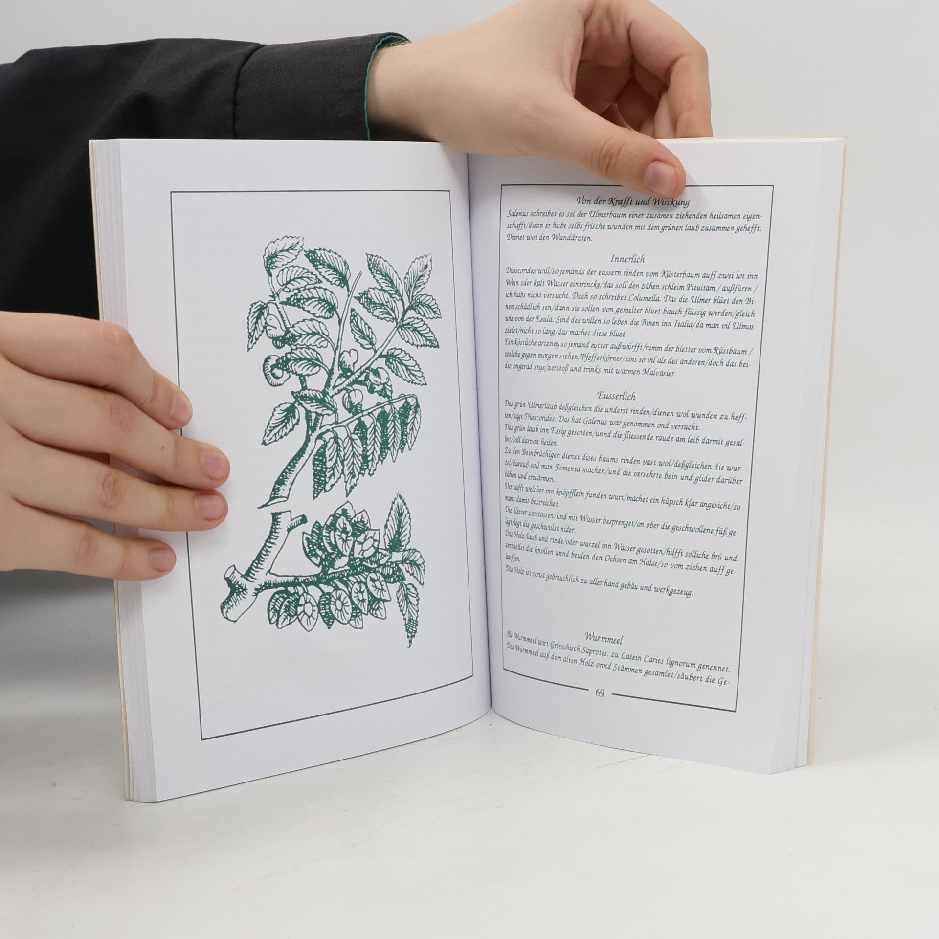 Bertram Wallrath Das keltische Baum-Horoskop