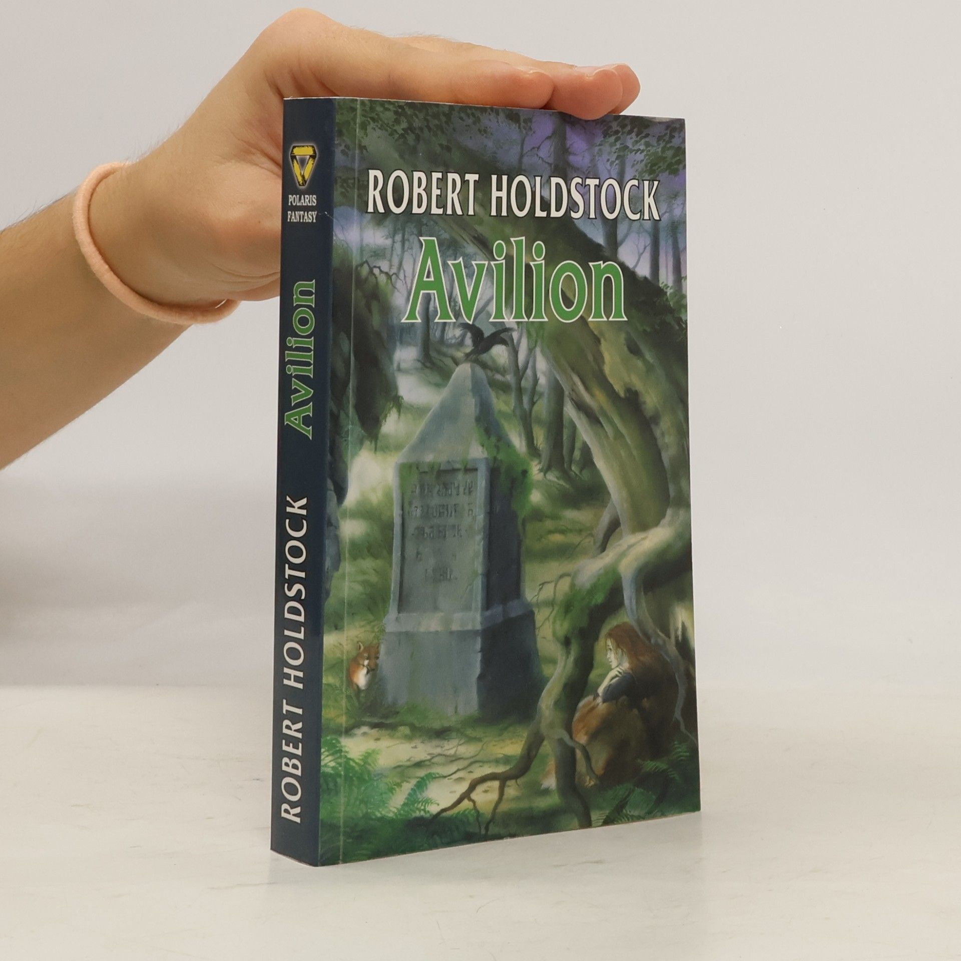 Robert Holdstock Avilion