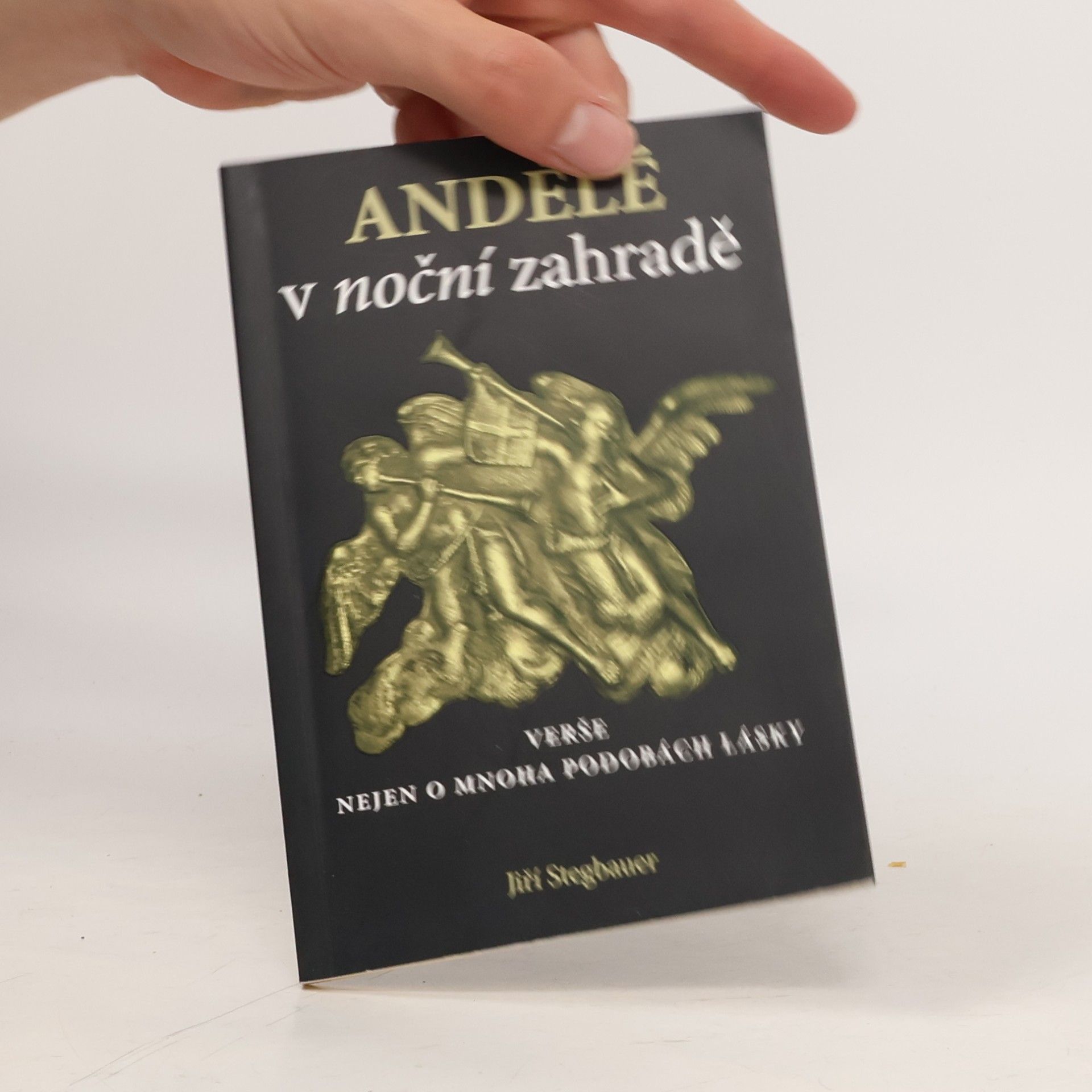 Andělé v noční zahradě