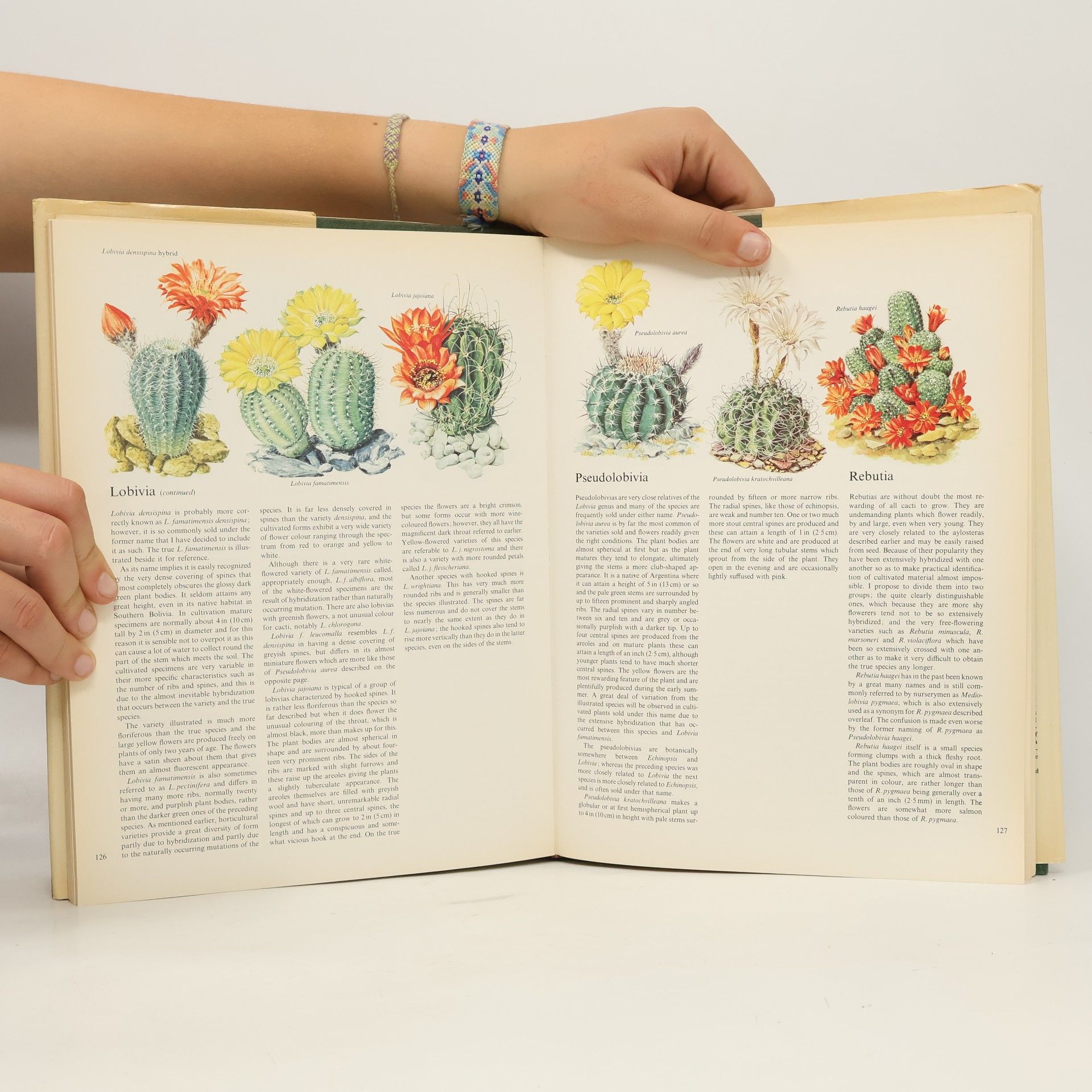 William Davidson The Collingridge All-Colour Guide to House Plants, Cacti & Succulents