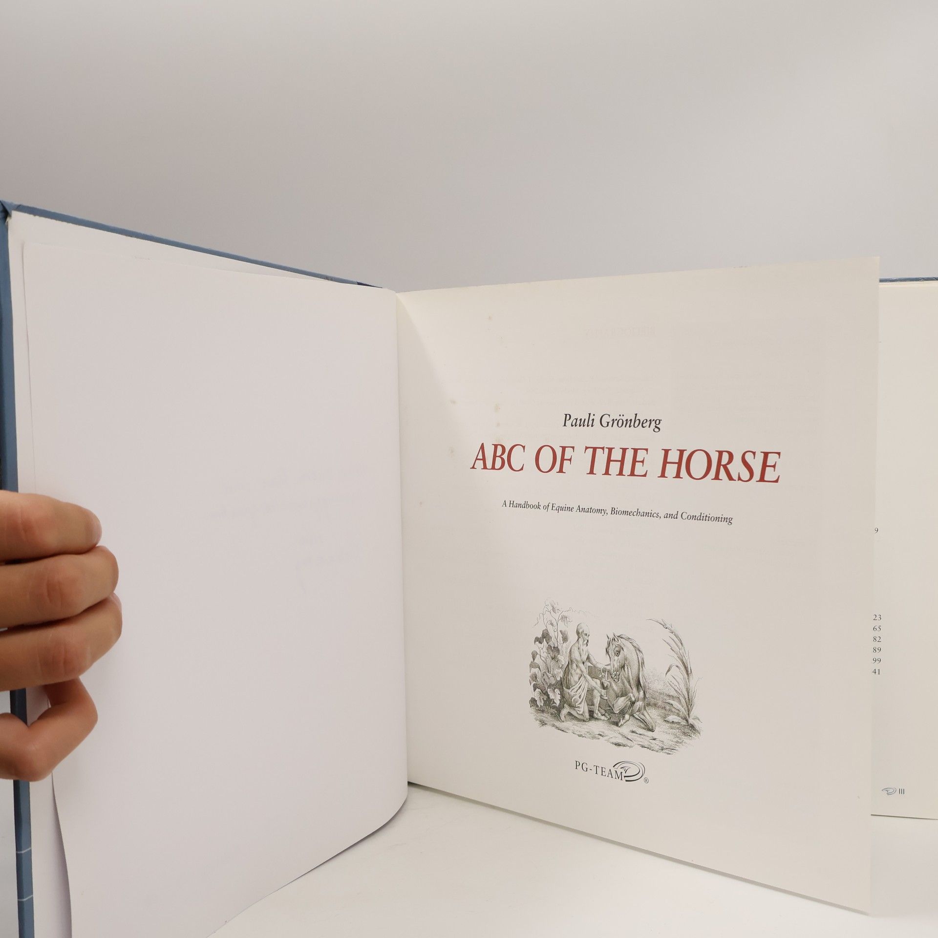 NN The ABC of the Horse