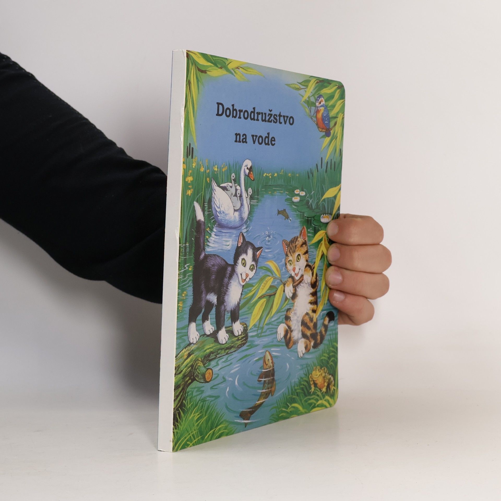 Dobrodružstvo na vode