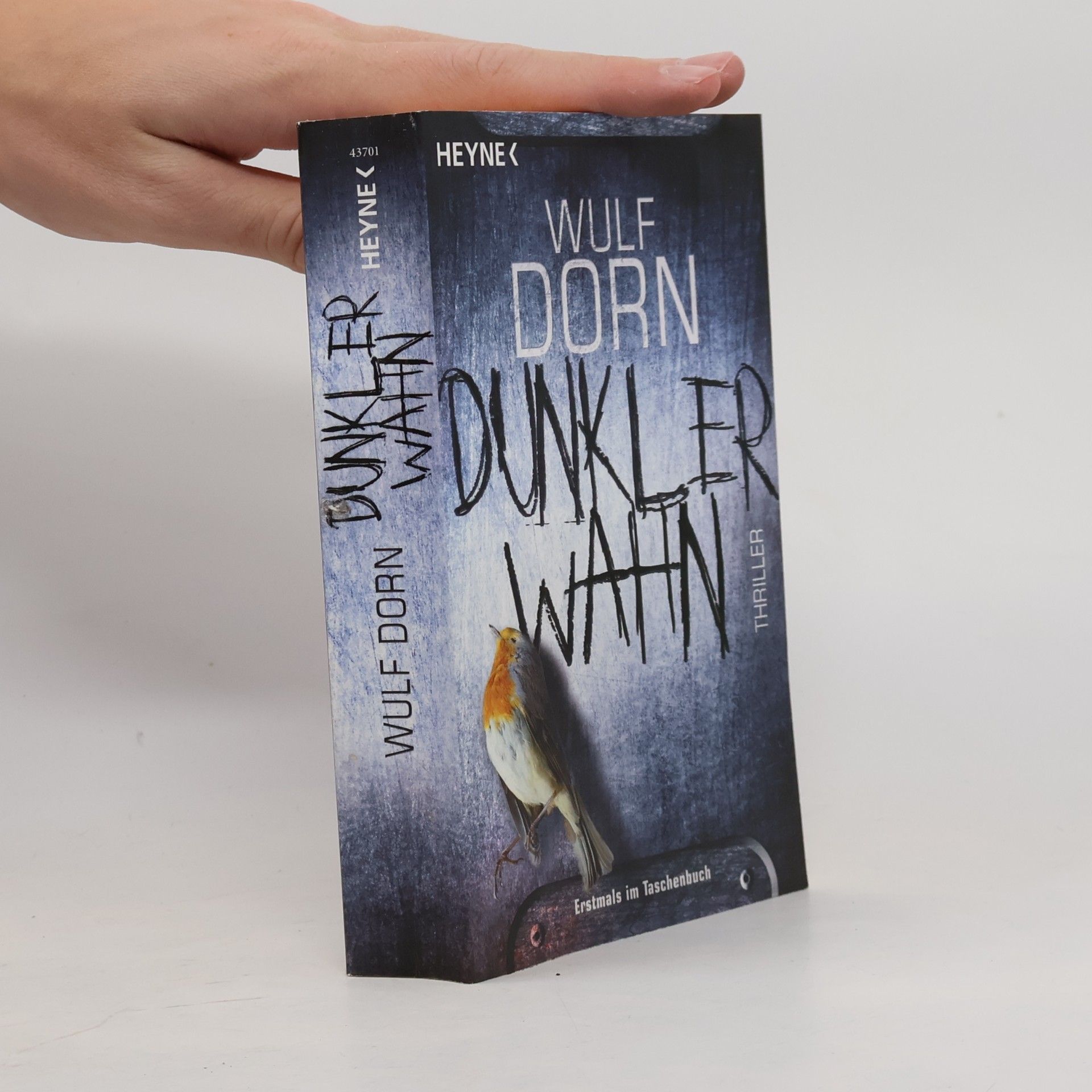 Wulf Dorn Dunkler Wahn