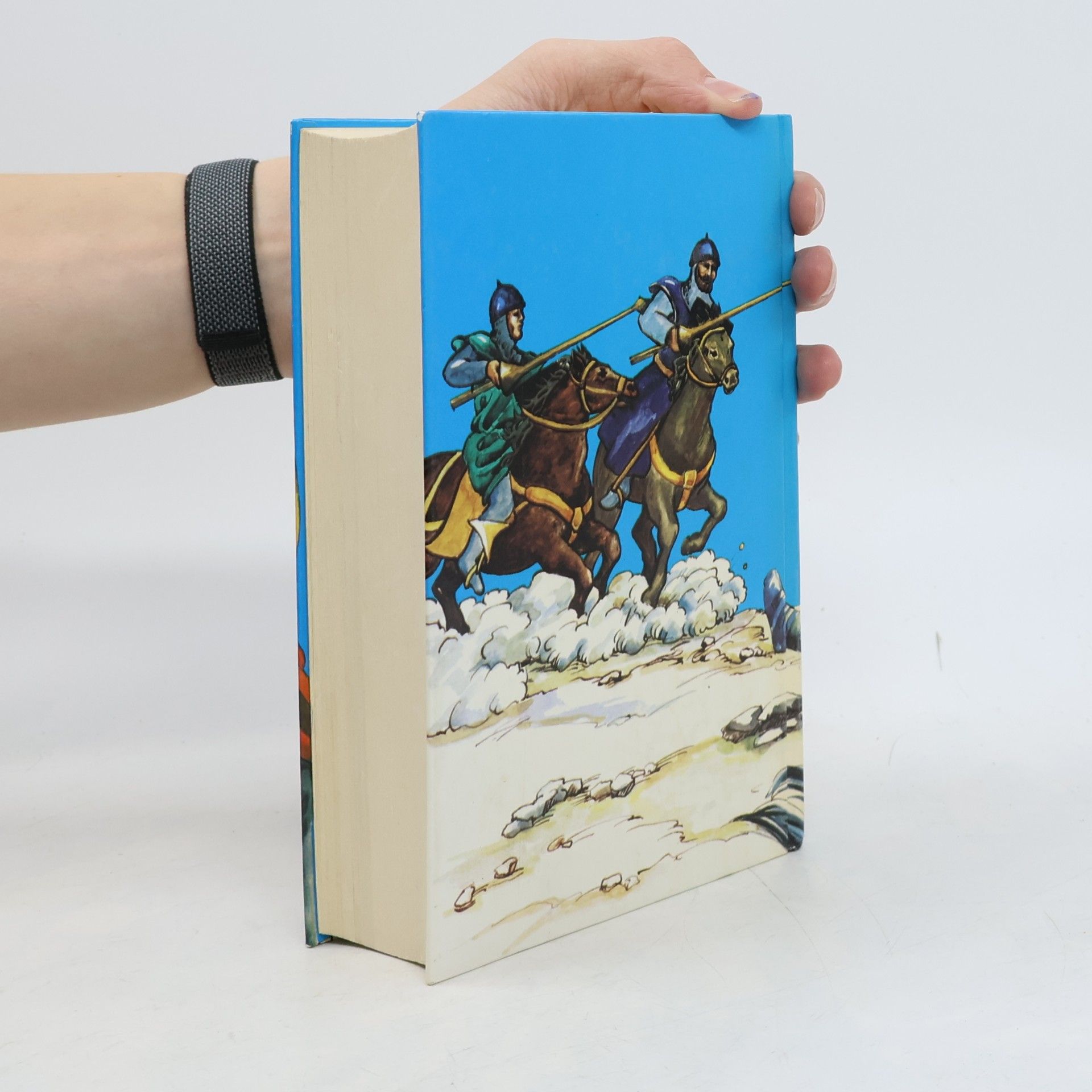 Gerhard Aick Die Nibelungen und die schönsten Heldensagen des Mittelalters