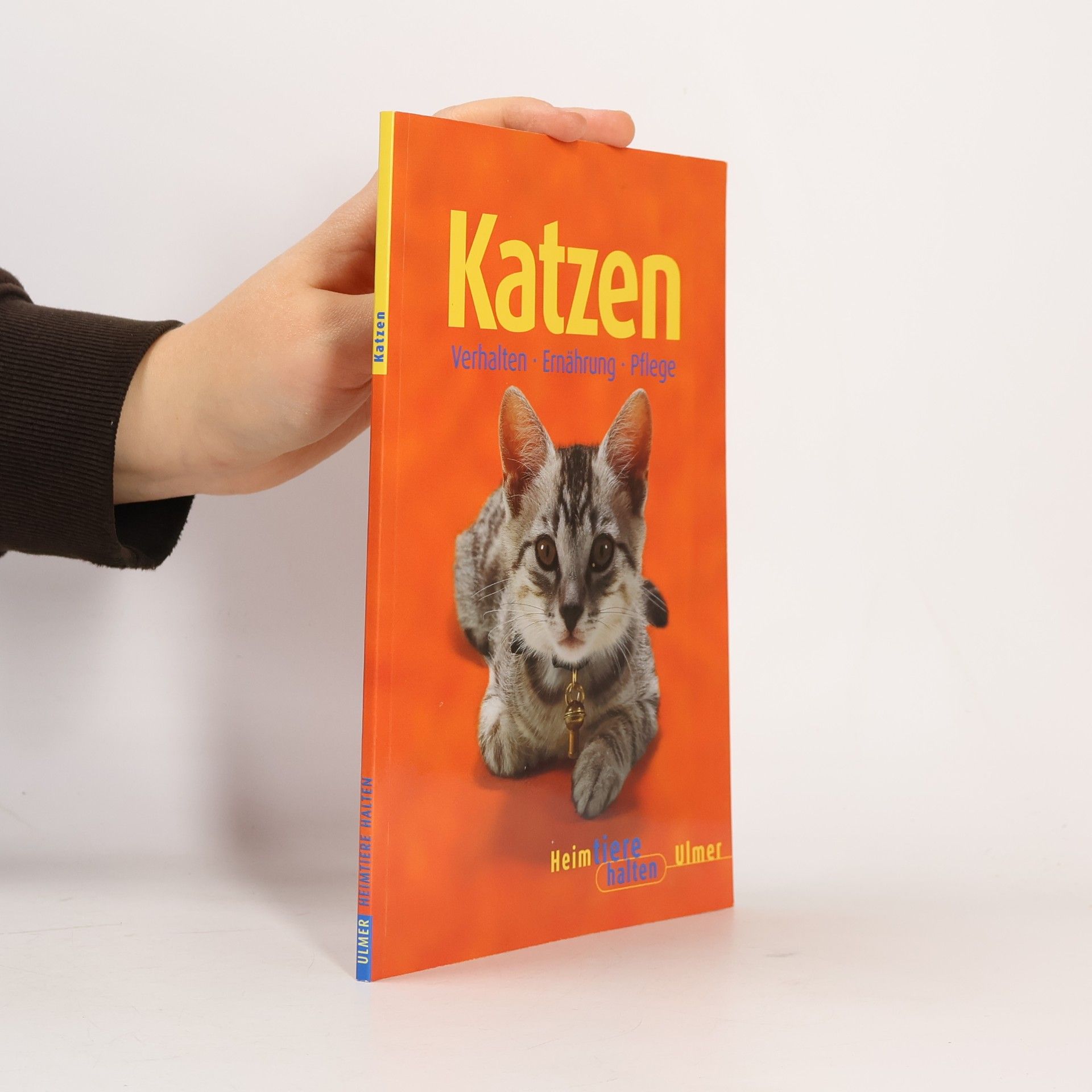 Heimtiere halten: Katzen