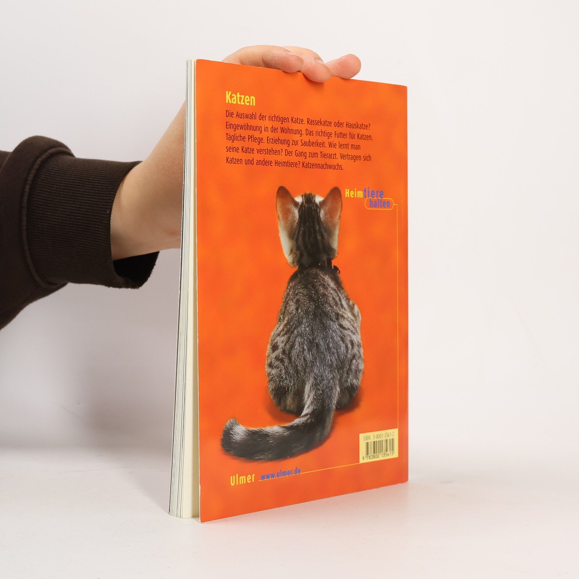 Birgit Gollmann Heimtiere halten: Katzen