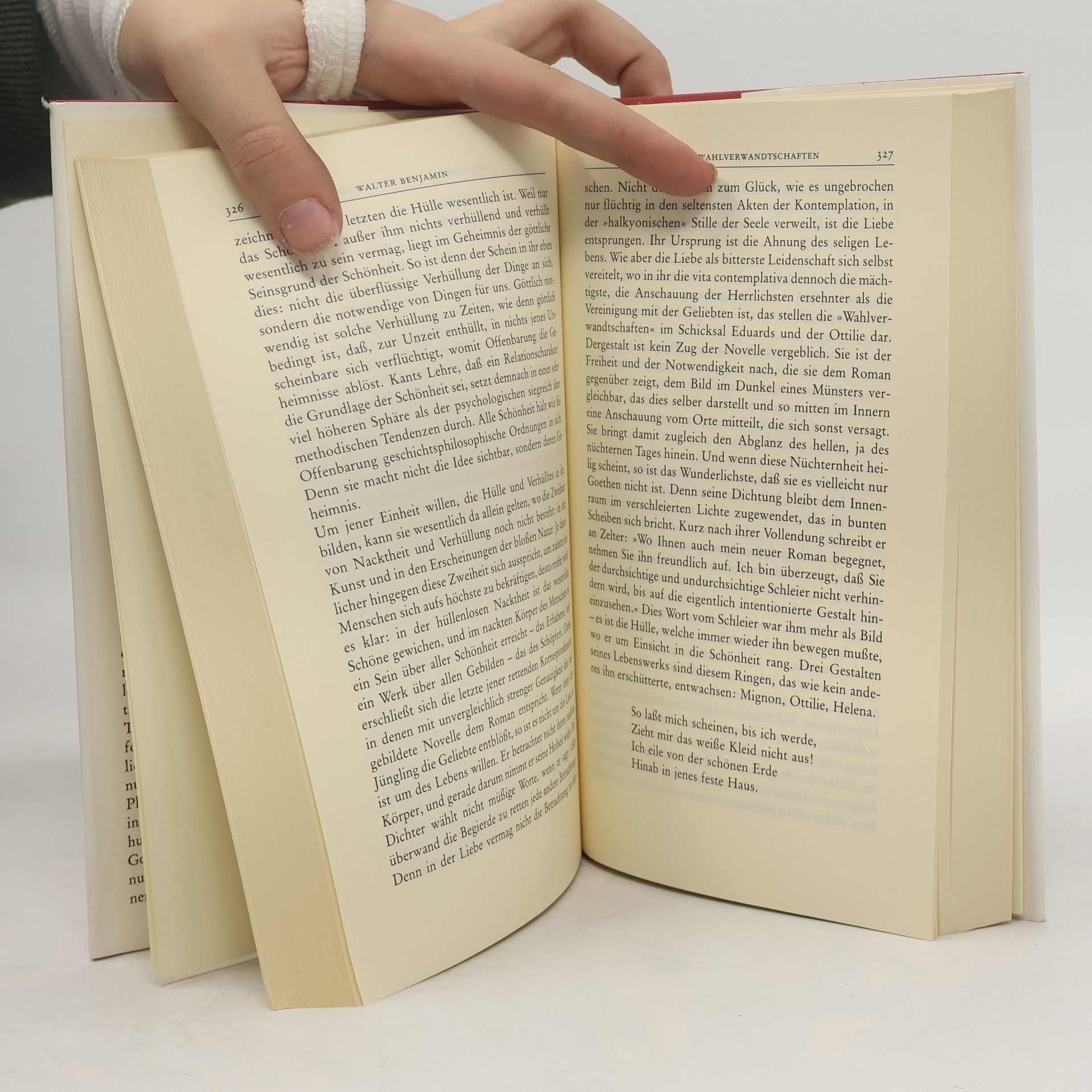 Hans Mayer Goethe im zwanzigsten Jahrhundert