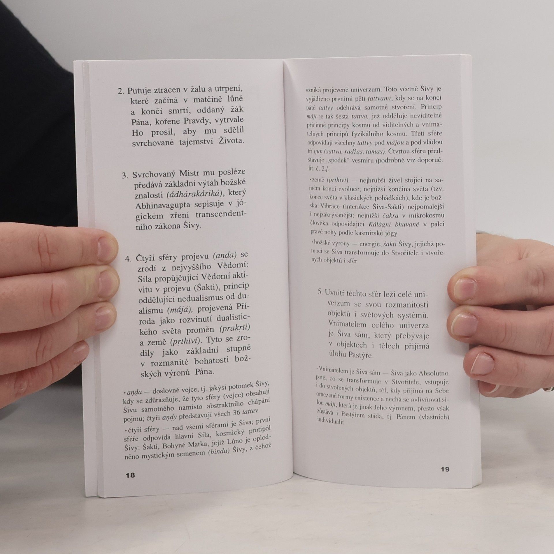 Abhinavagupta Paramárthasára. Kašmírský jógin z 11. stol. o nejvyšší Skutečnosti
