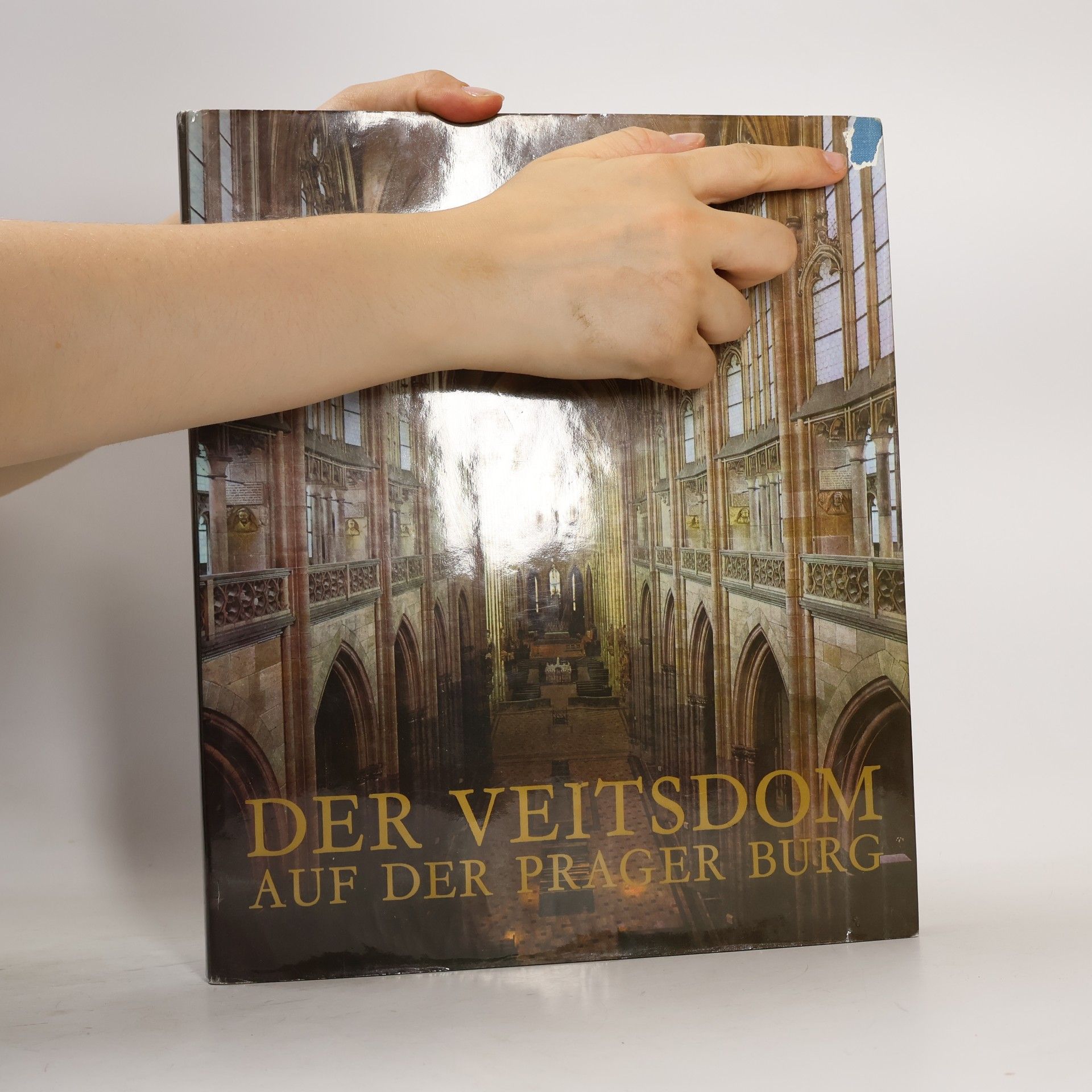Jiří Burian Der Veitsdom auf der Prager Burg