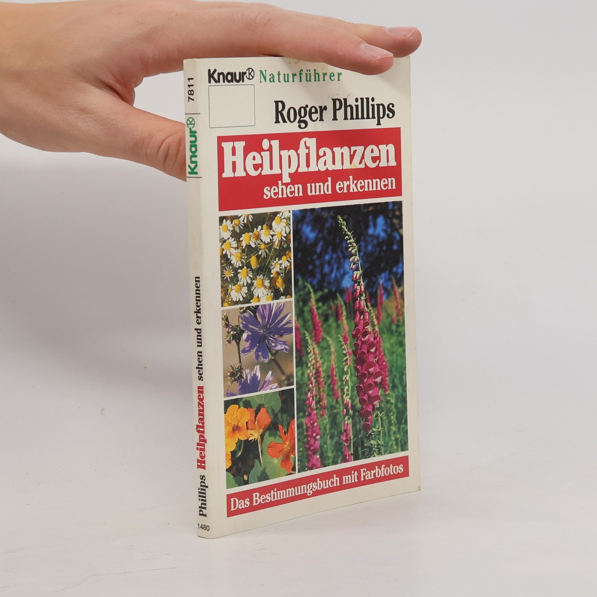 Heilpflanzen sehen und erkennen