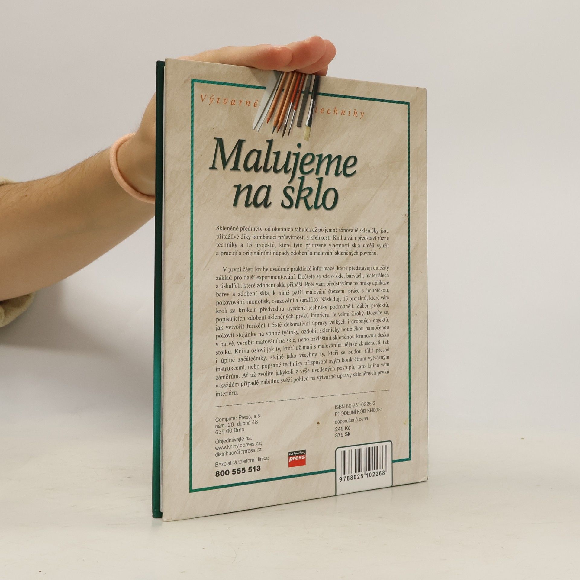 Penny Boylan Malujeme na sklo