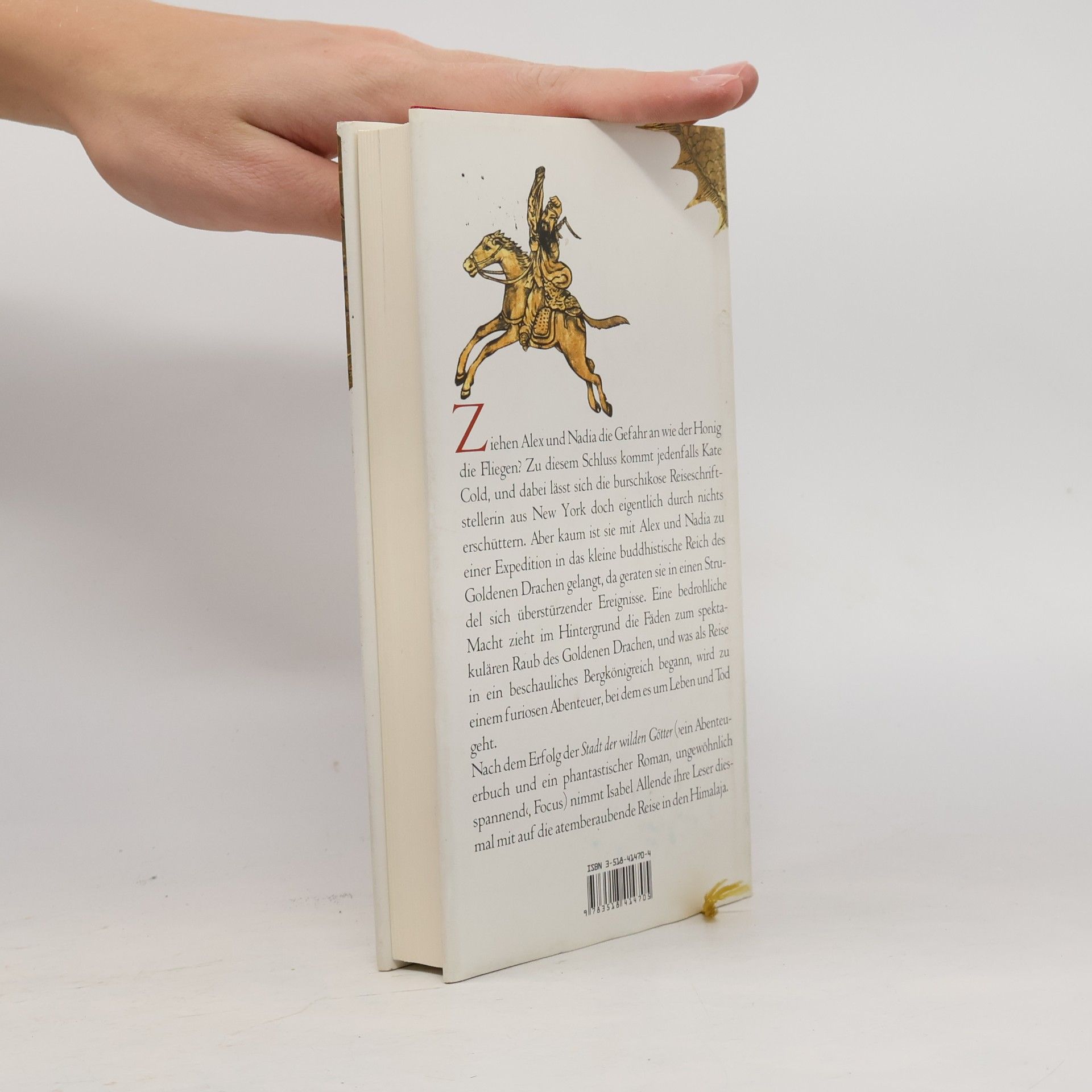 Isabel Allende Im Reich des goldenen Drachen