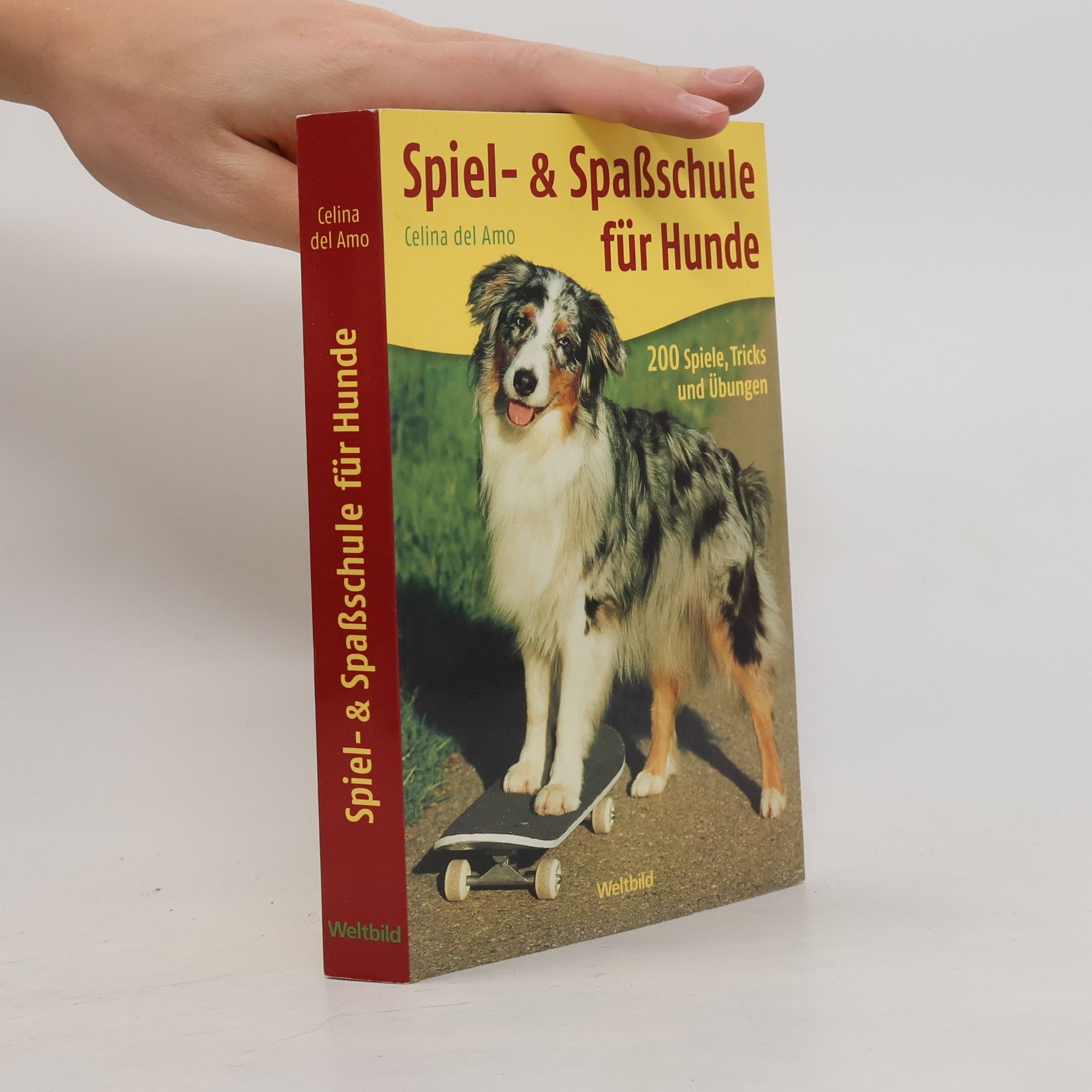 Spiel- & Spaßschule für Hunde