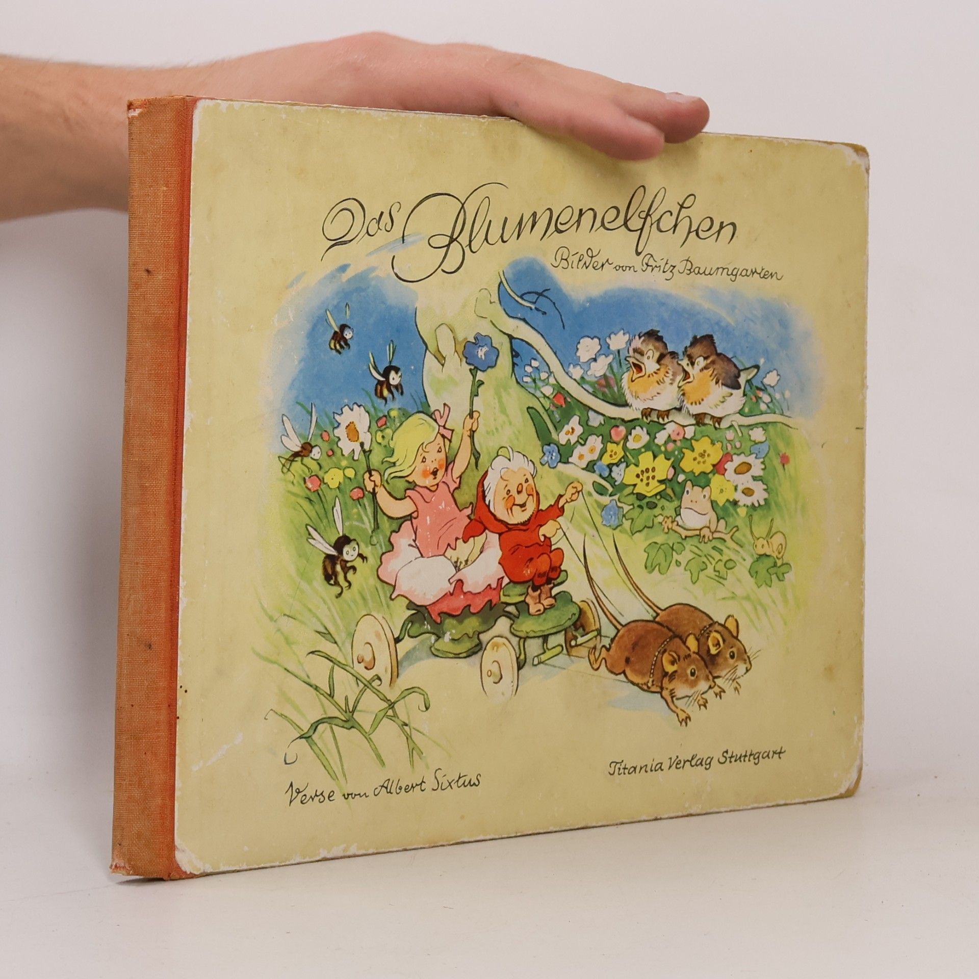 Fritz Baumgarten Das Blumenelschen