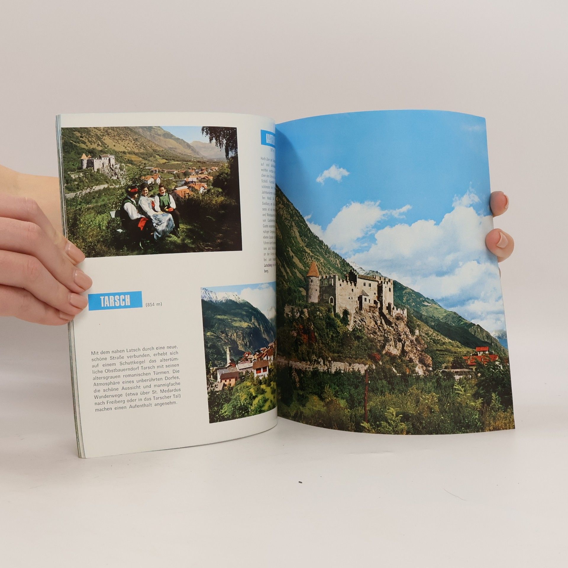 Autores varios Vinschgau und seine Nebentäler