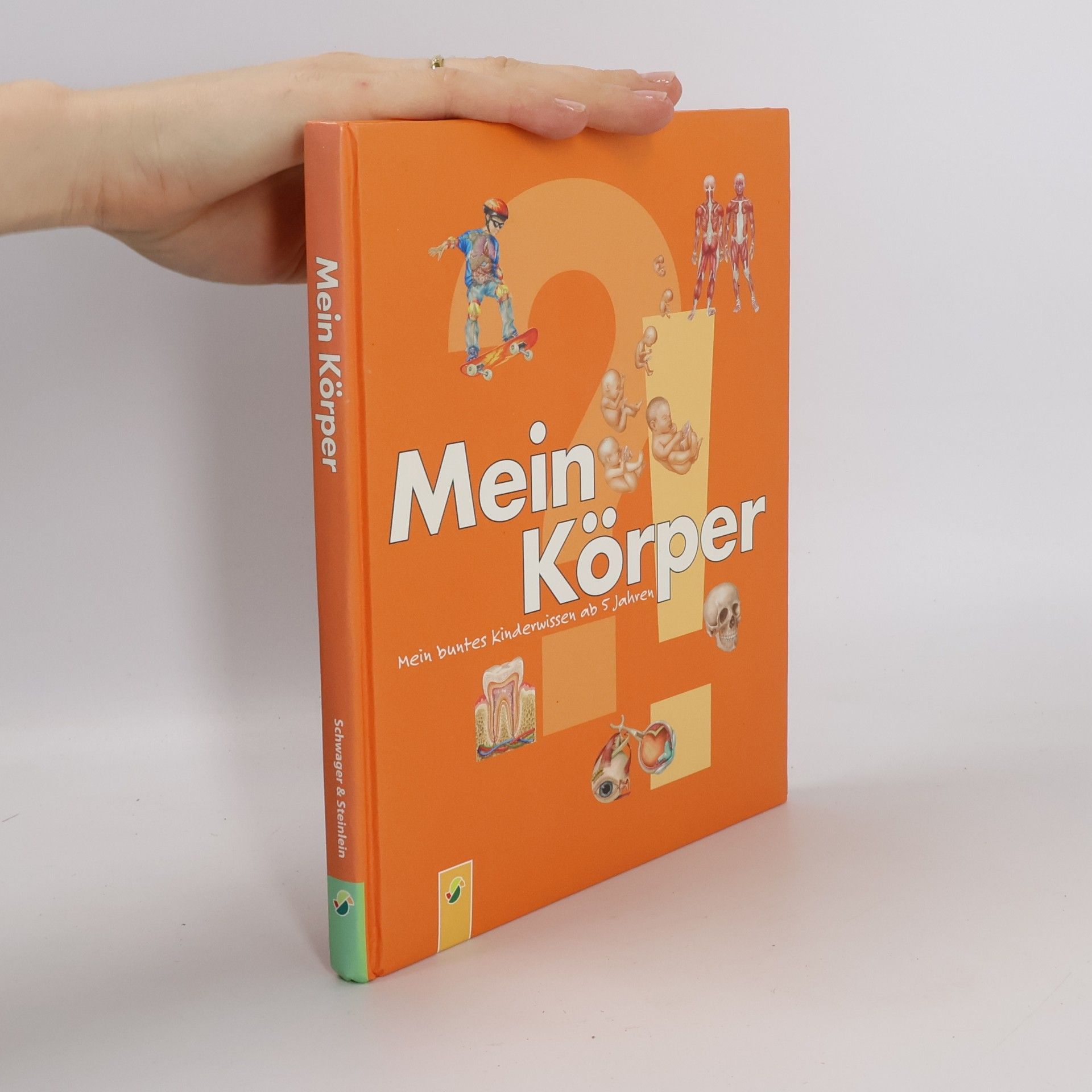 Mein Körper