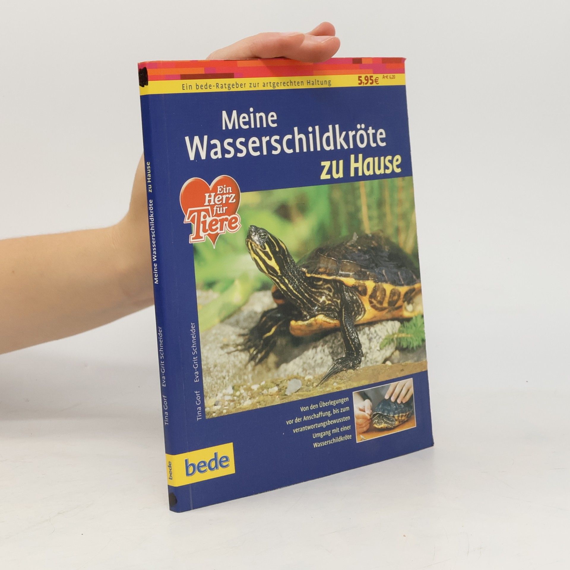 Tina Gorf Meine Wasserschildkröte zu Hause