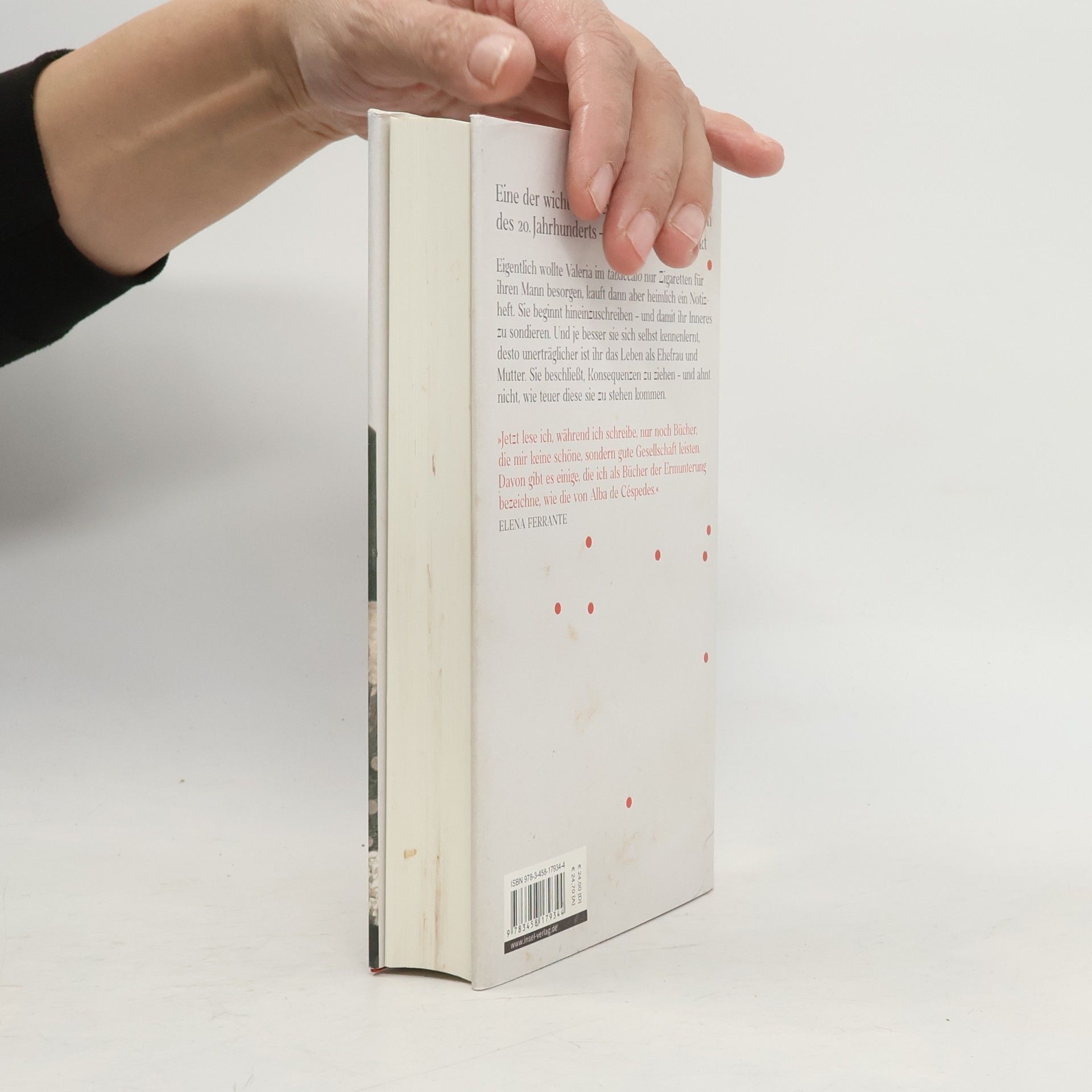 Alba De Céspedes Das verbotene Notizbuch