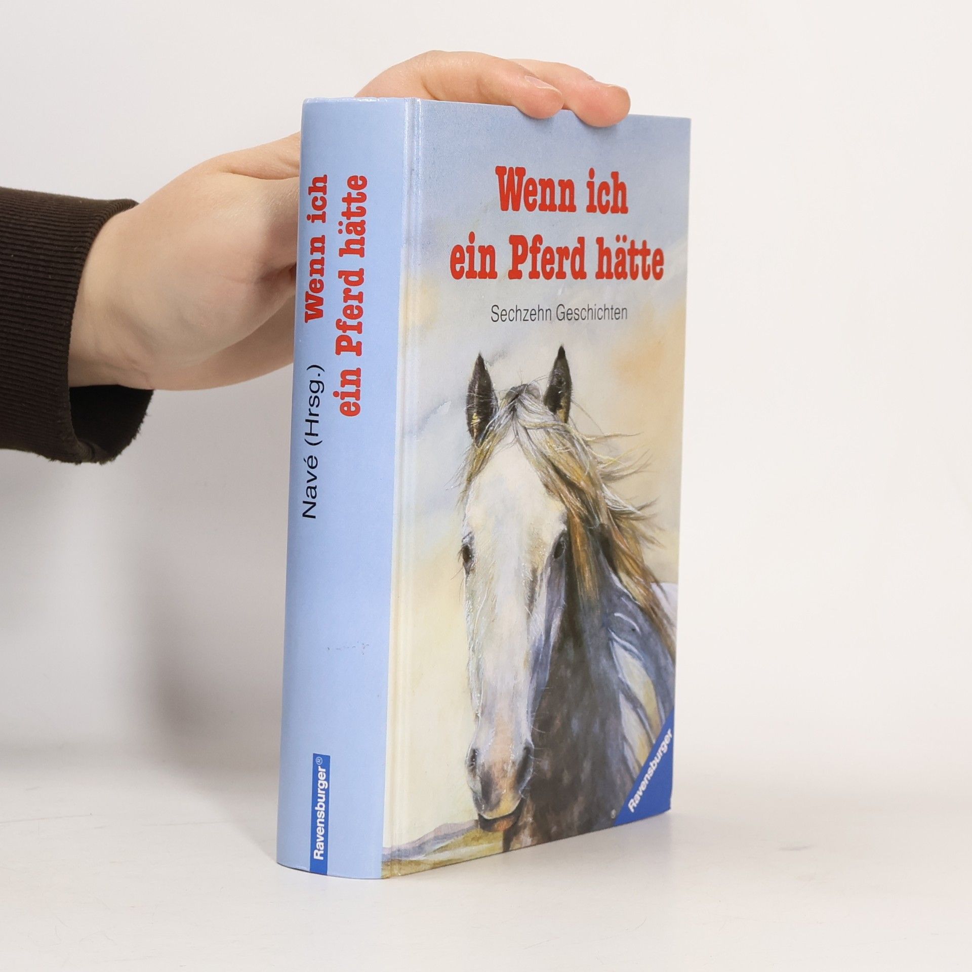 Renate Navé Wenn ich ein Pferd hätte