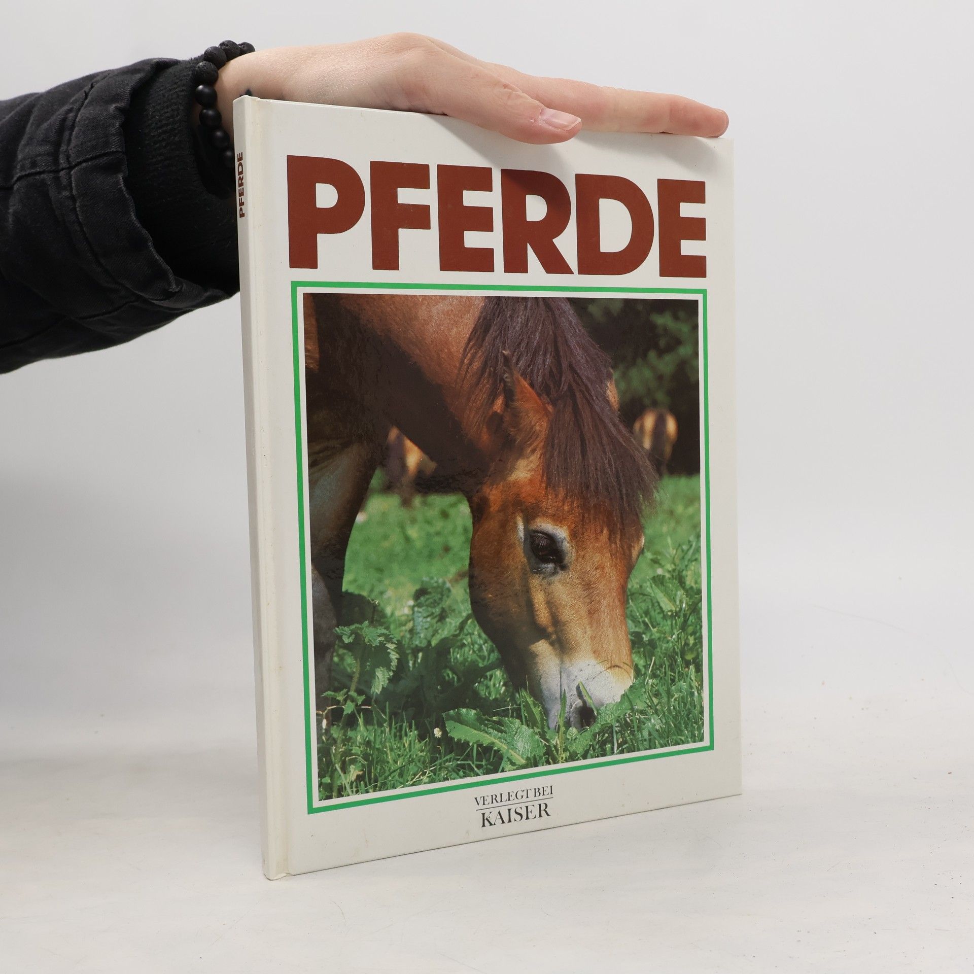 Pferde