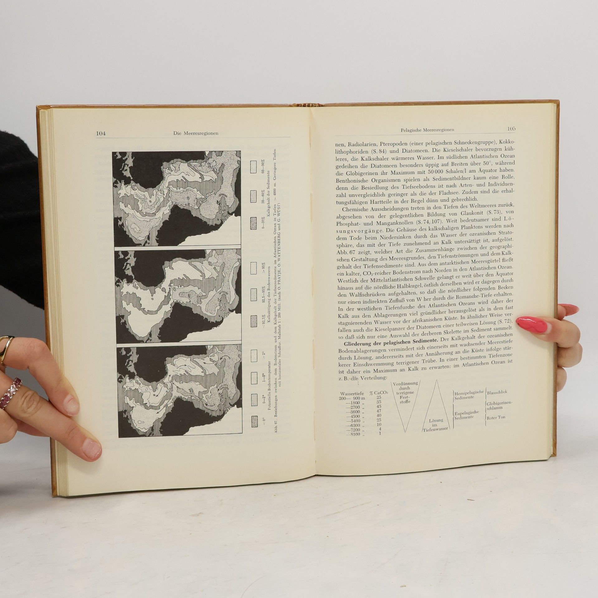 Roland Brinkmann Abriss der Geologie I.