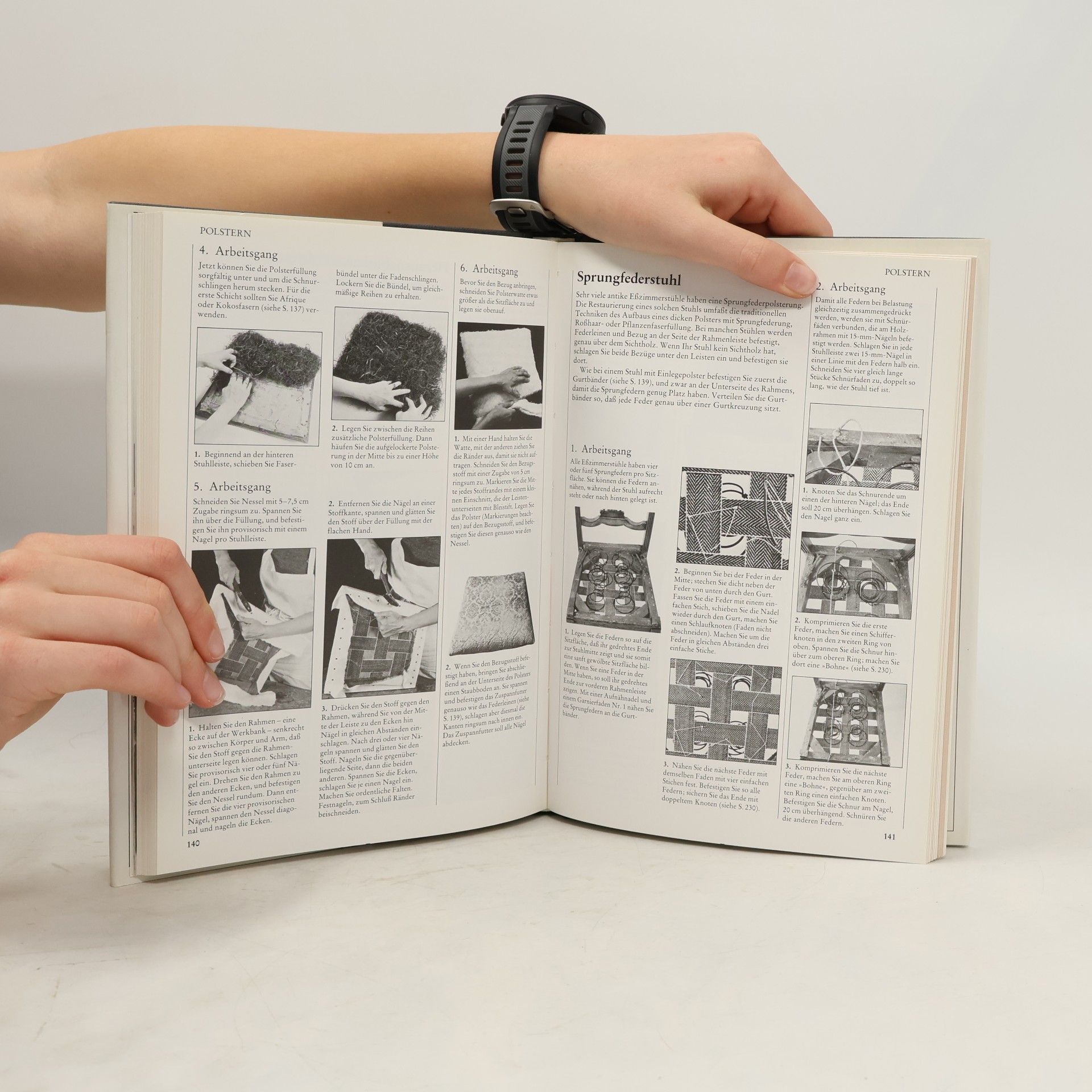 Albert Jackson DuMont's Handbuch zur Pflege und Restaurierung von Antiquitäten