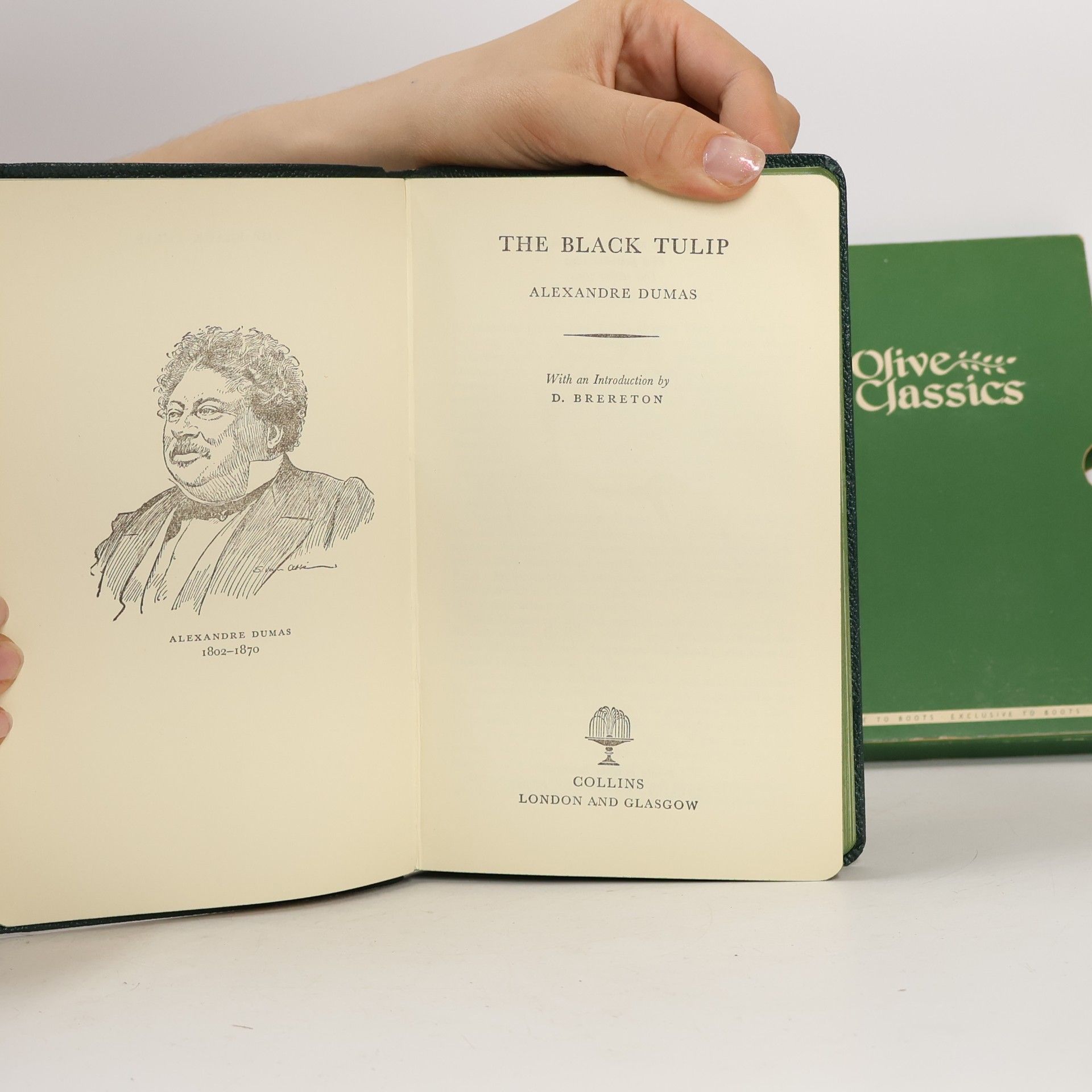 Alexandre Dumas der Ältere The Black Tulip