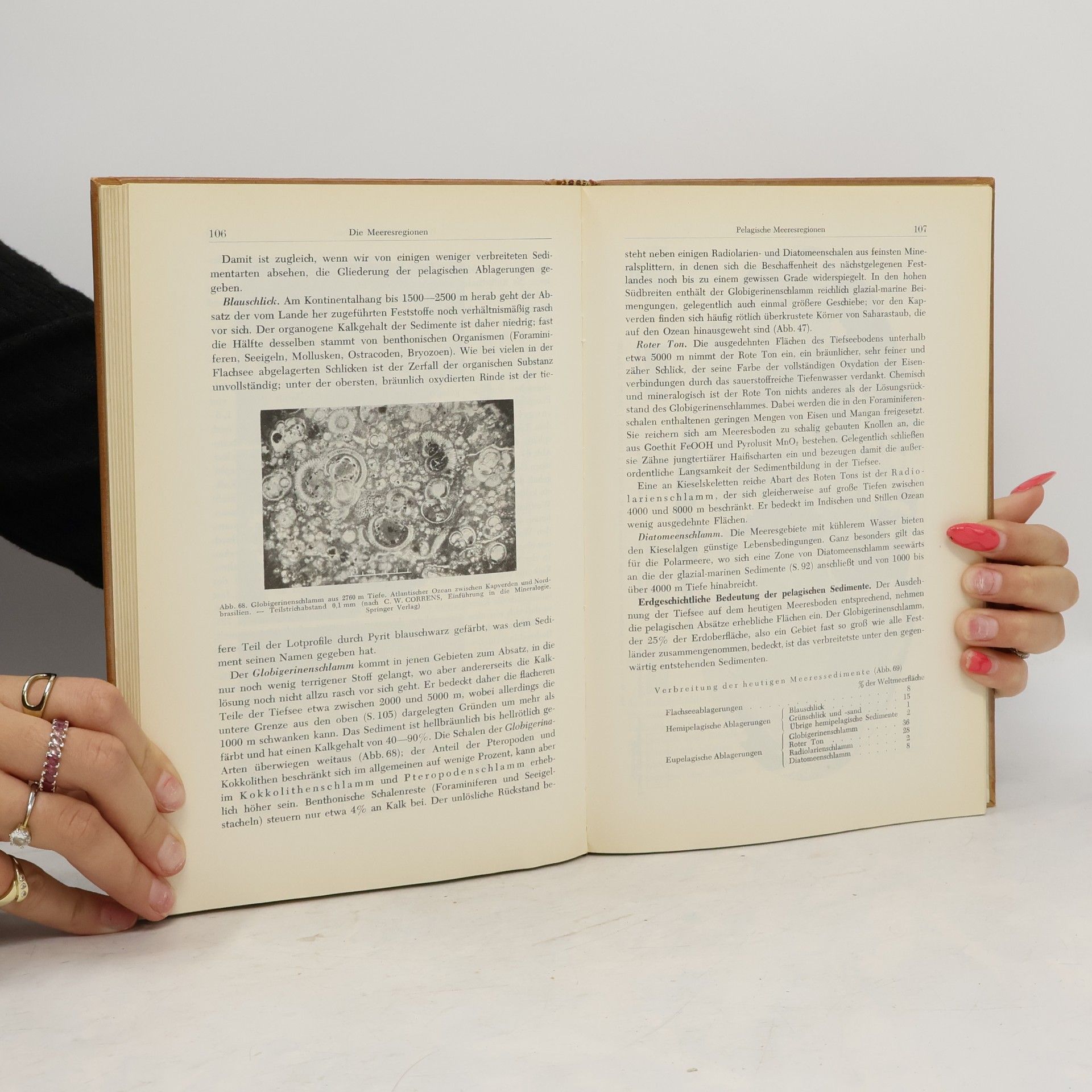 Roland Brinkmann Abriss der Geologie. Erster Band