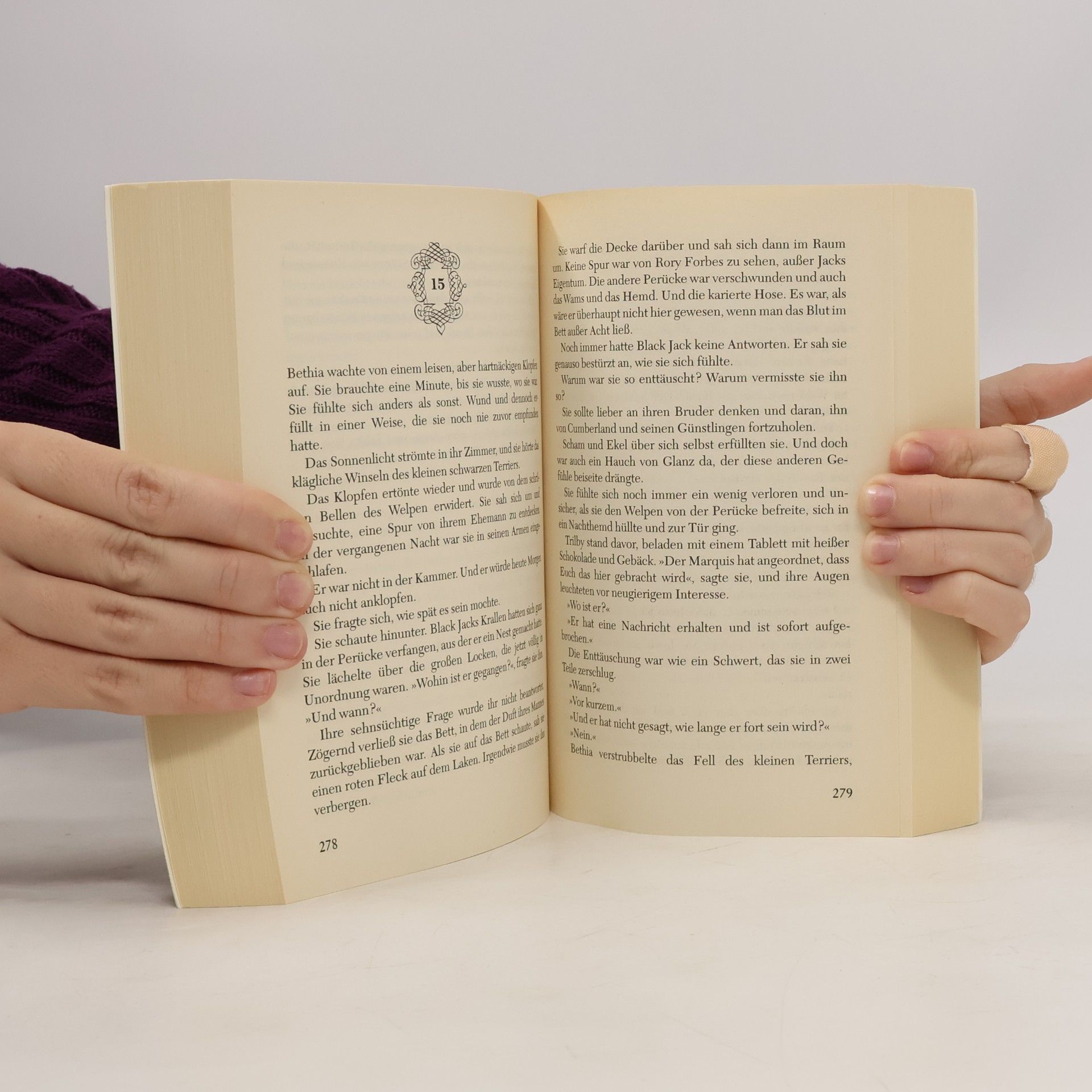 Patricia Potter Ein sinnlicher Schurke. Roman