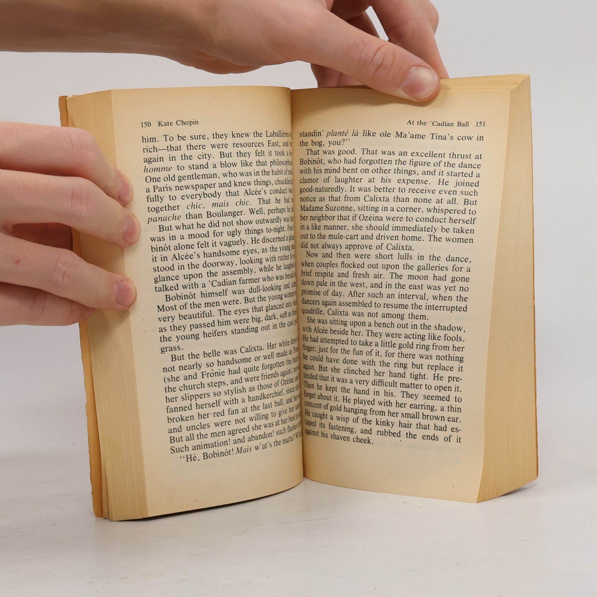 Sarah Orne Jewett Classic American Women Writers