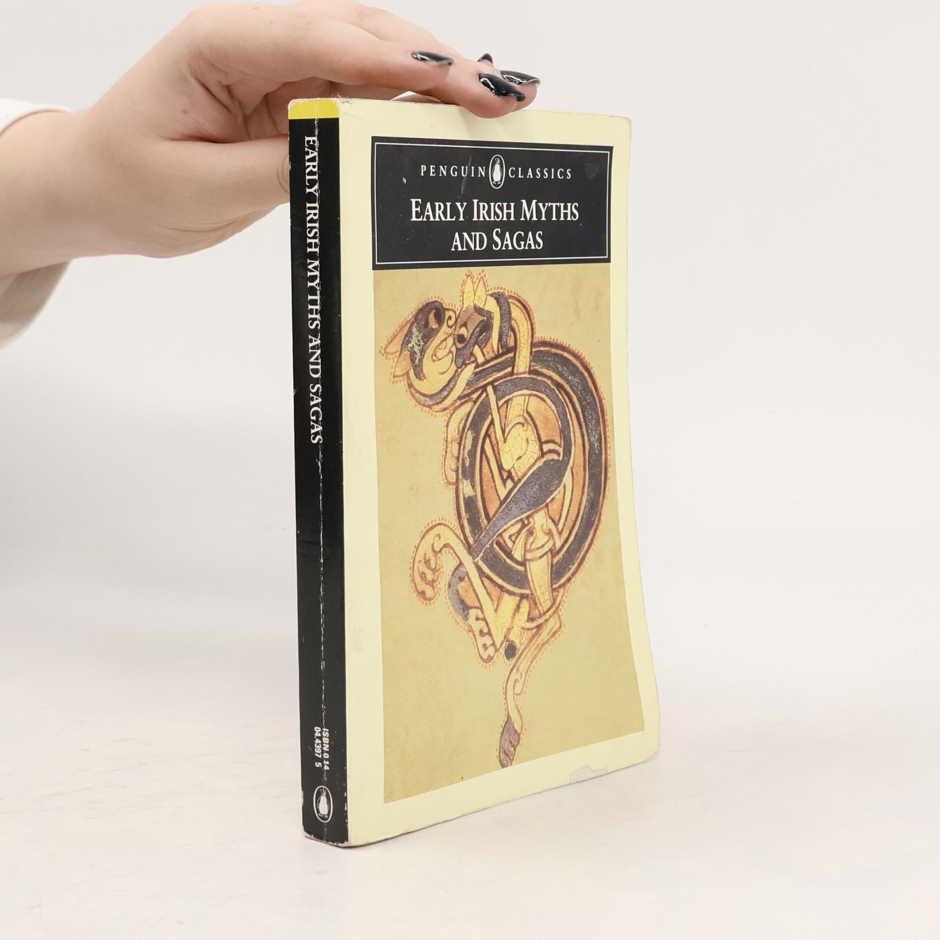 Early Irish myths and sagas