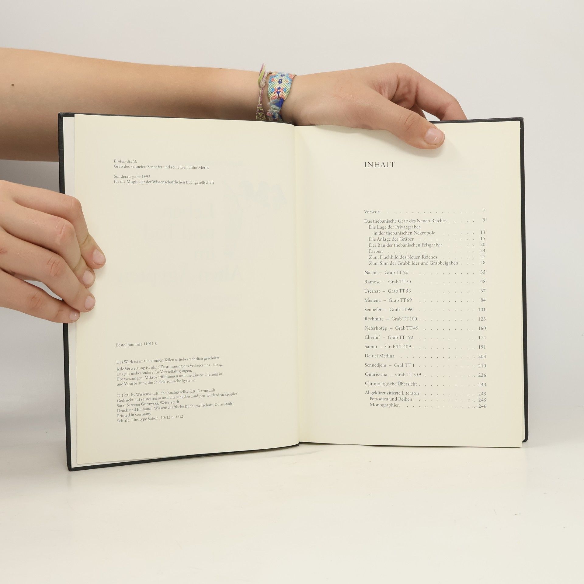 Sigrid Hodel-Hoenes Leben und Tod im Alten Ägypten