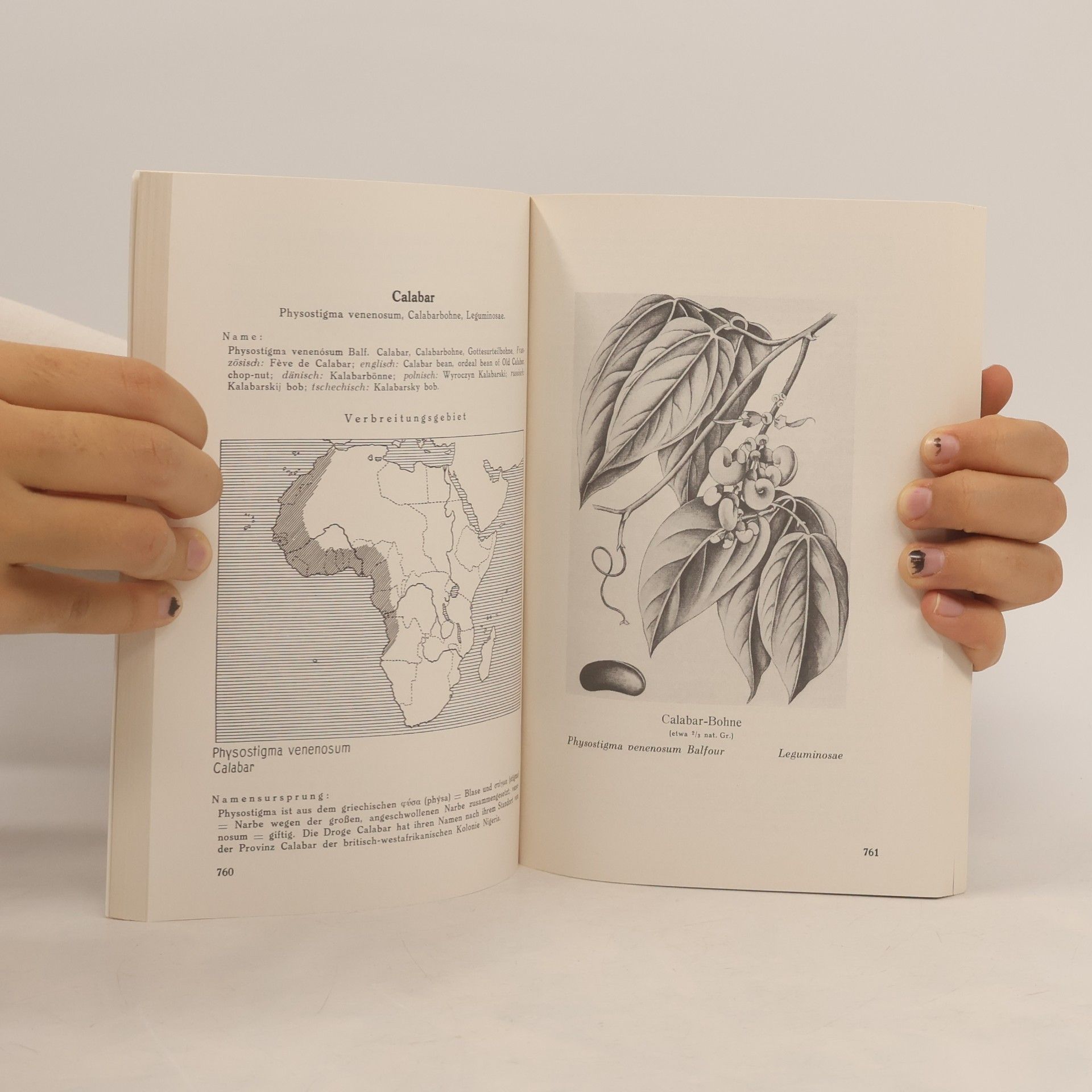 Gerhard Madaus Lehrbuch der Biologischen Heilmittel 4
