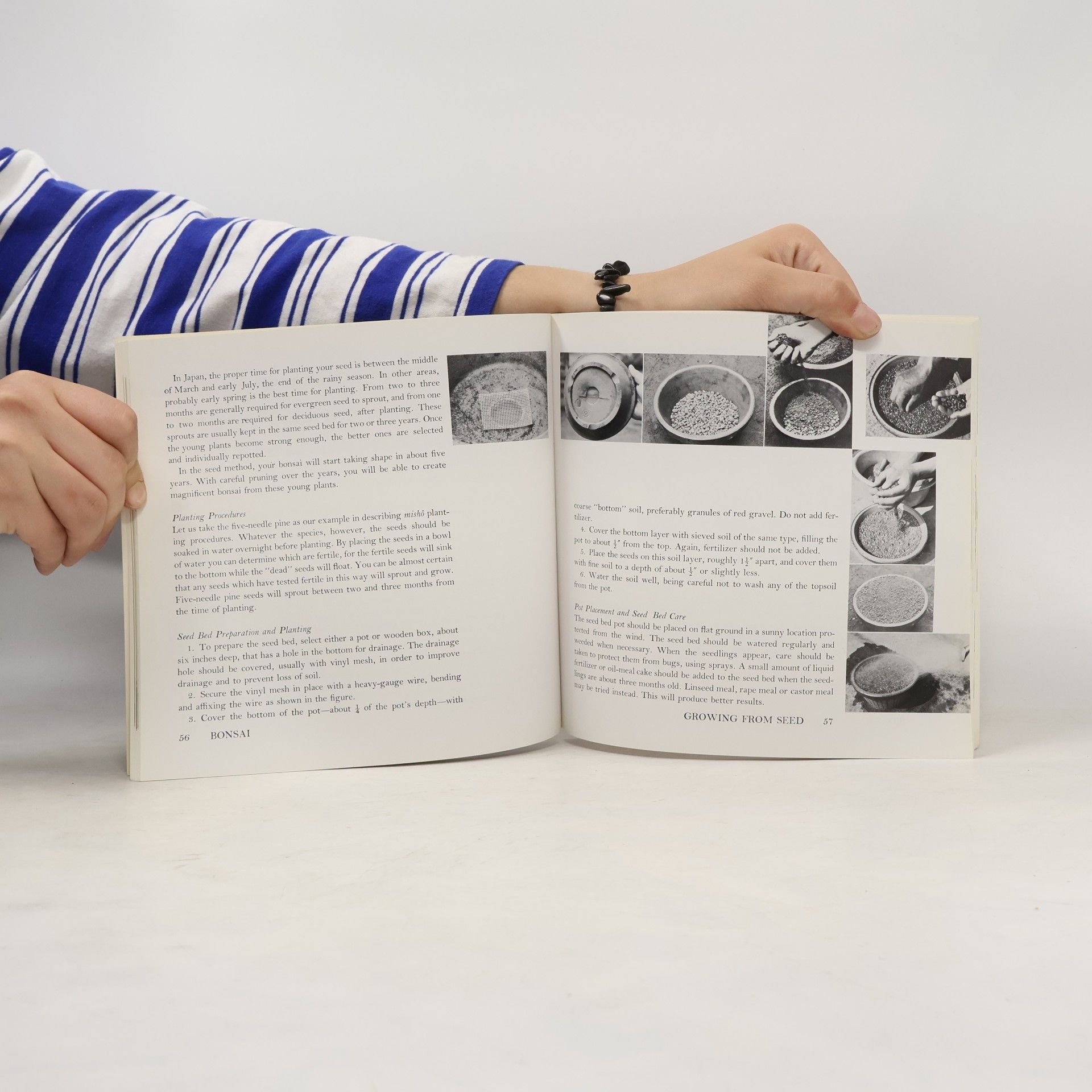 Nobukichi Koide The Masters' Book of Bonsai