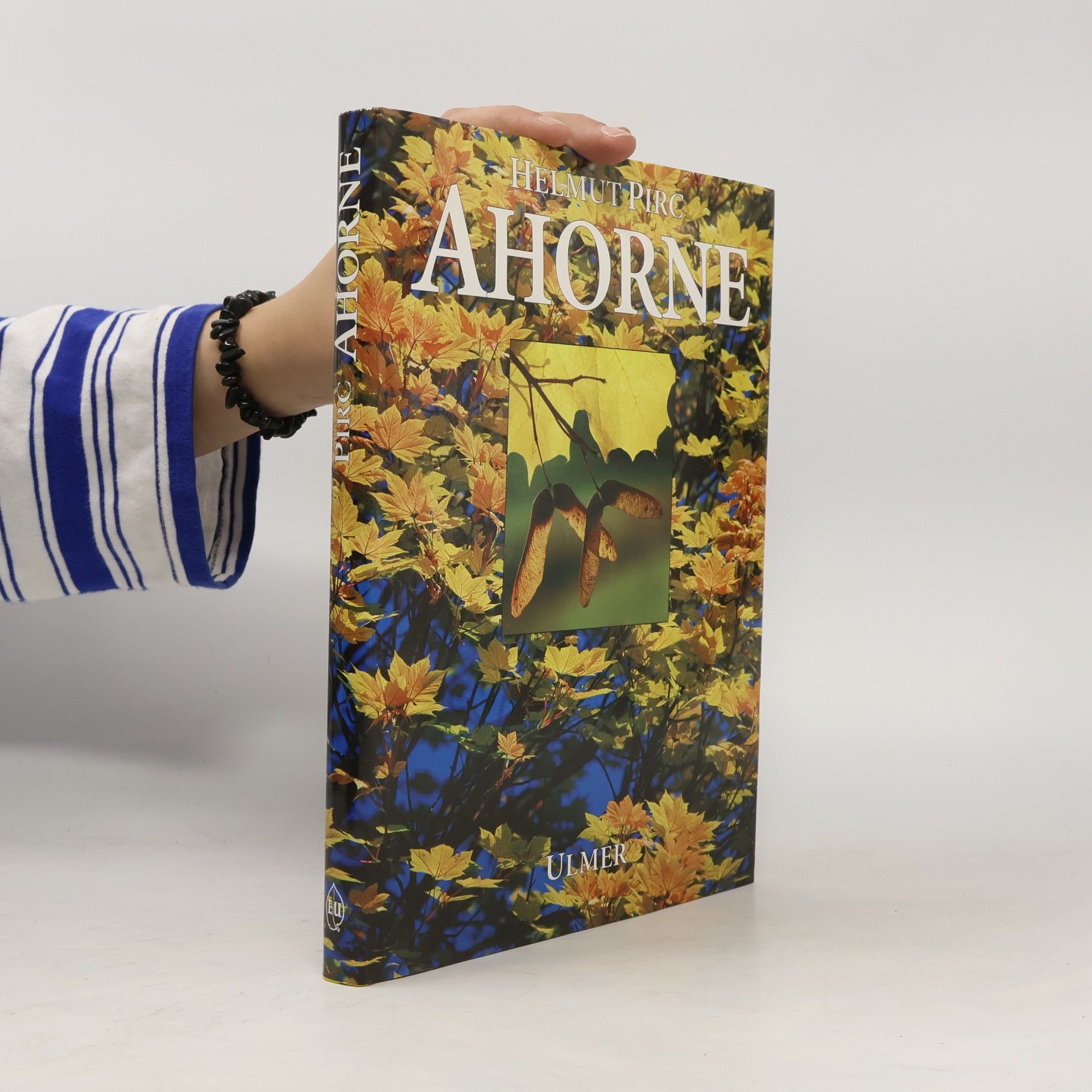 Ahorne