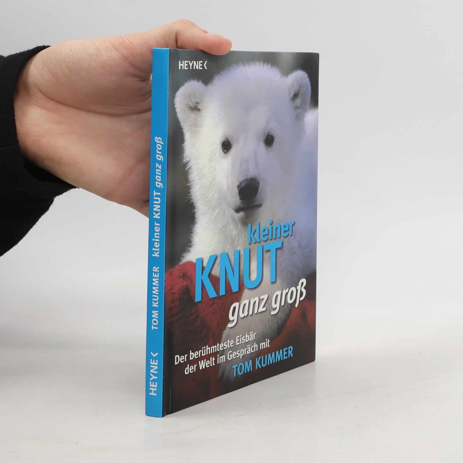 Kleiner Knut ganz groß