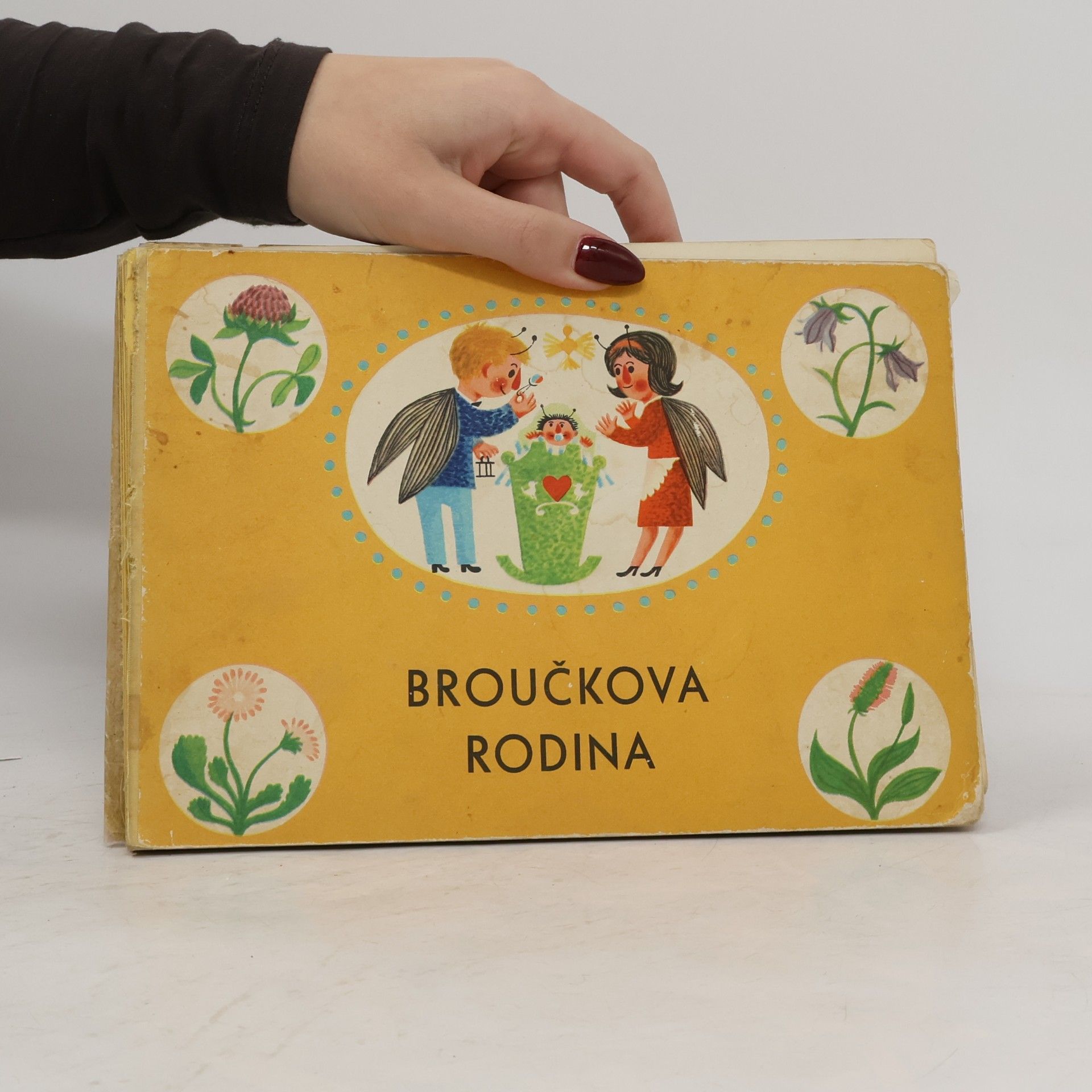 Autorenkollektiv Broučkova rodina