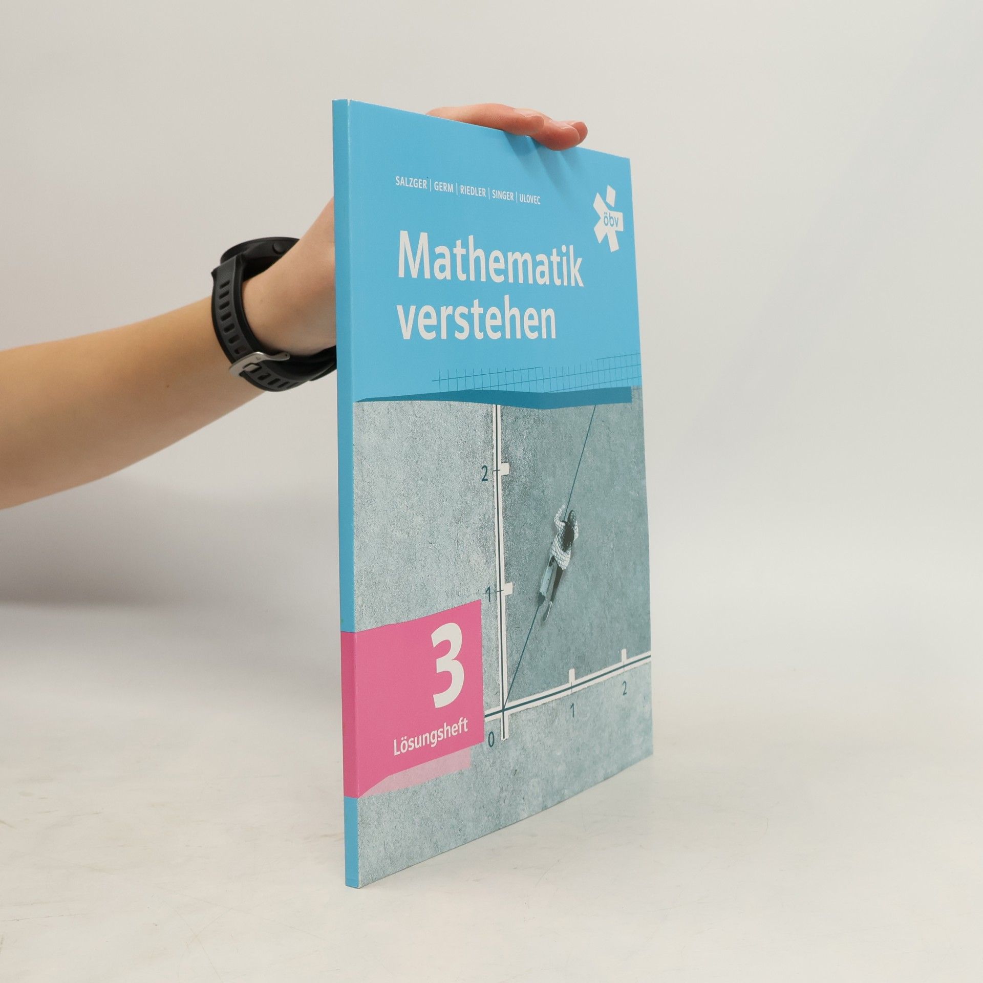Mathematik verstehen