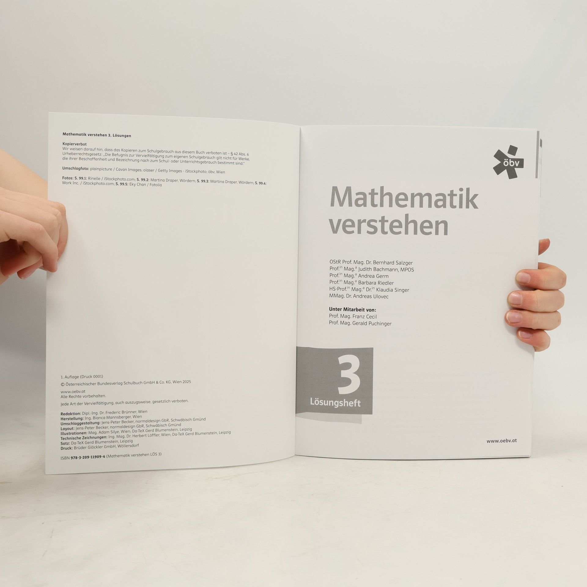 Bernhard Salzger Mathematik verstehen