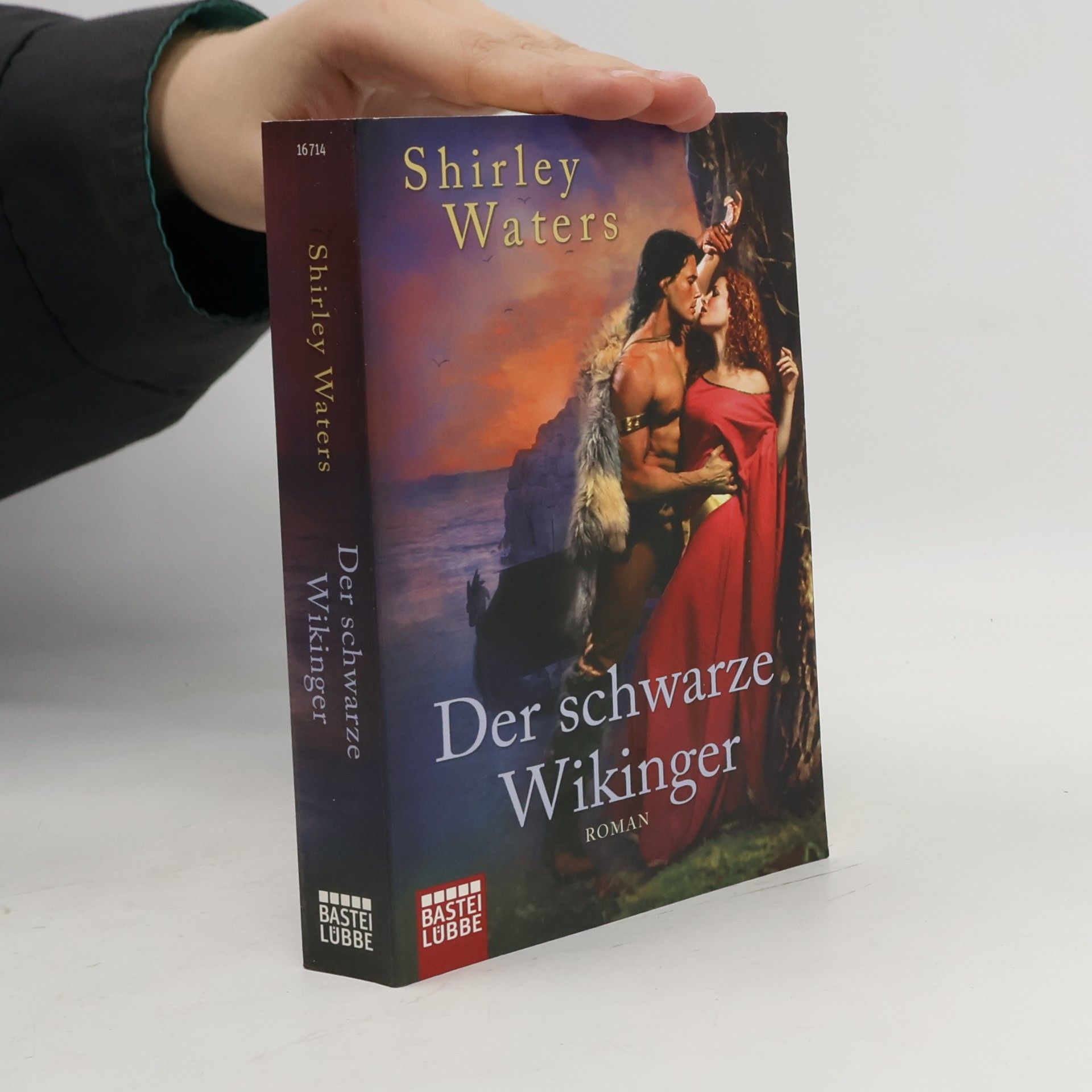 Der schwarze Wikinger